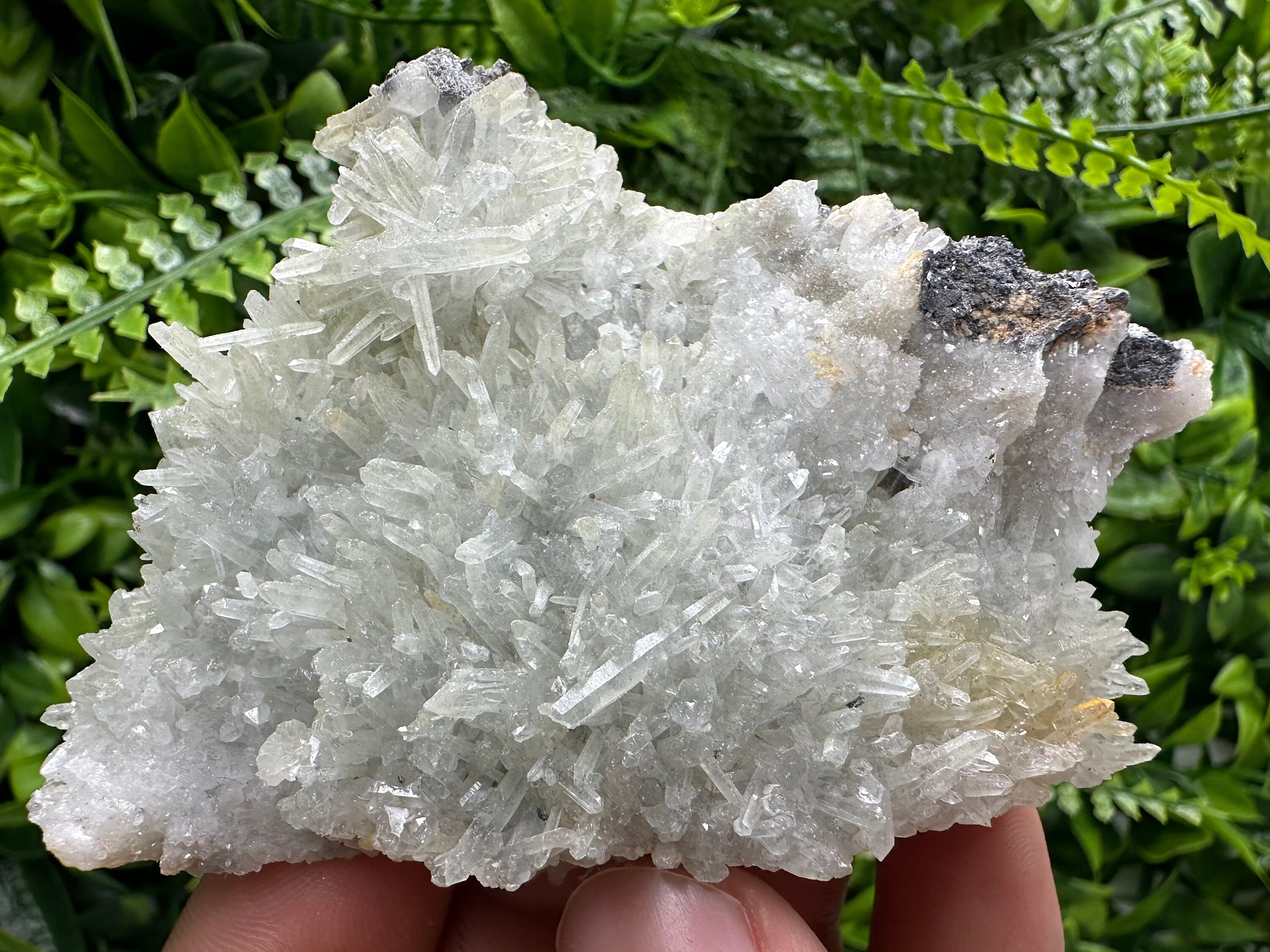 Chlorite Quartz Crystal with Hematite: Borieva Mine, Bulgaria