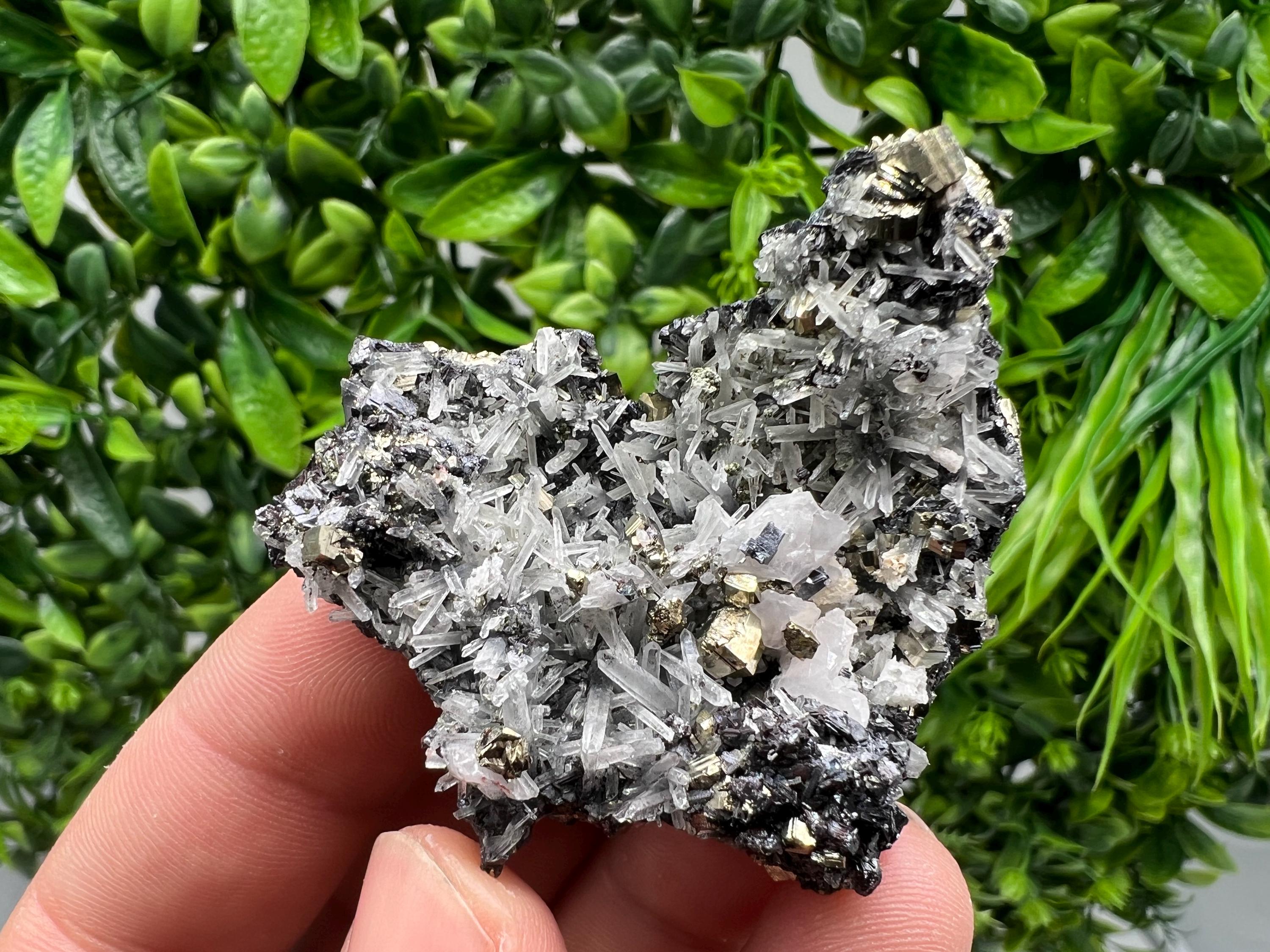 Pyrite on Green Quartz Mineral Specimen, Borieva Mine Bulgaria
