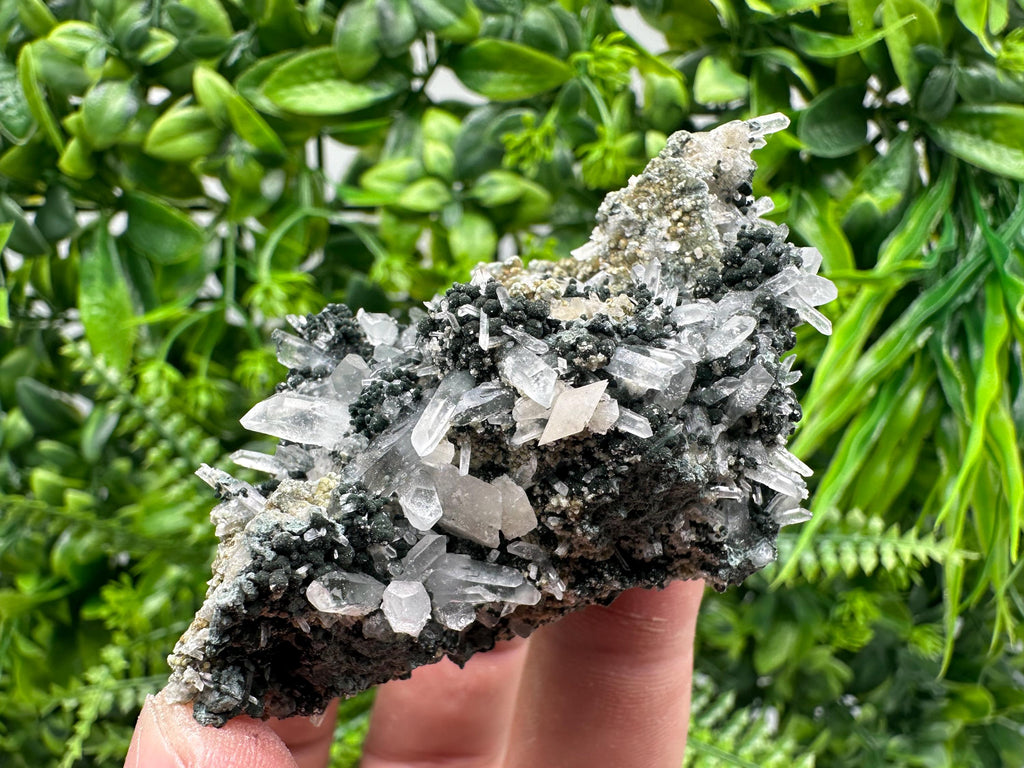 Transparent Quartz on Chlorite Matrix, Bulgaria Mineral Specimen