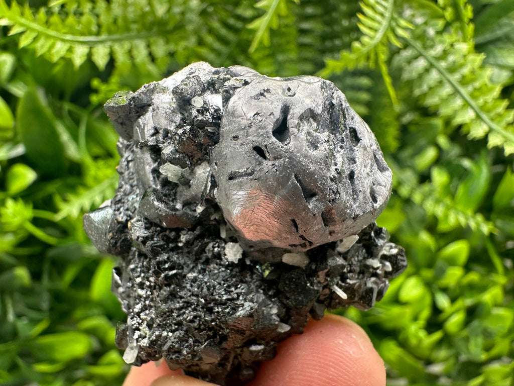 Mirror Galena, Calcite, Sphalerite on Quartz with Chlorite, Borieva Bulgaria