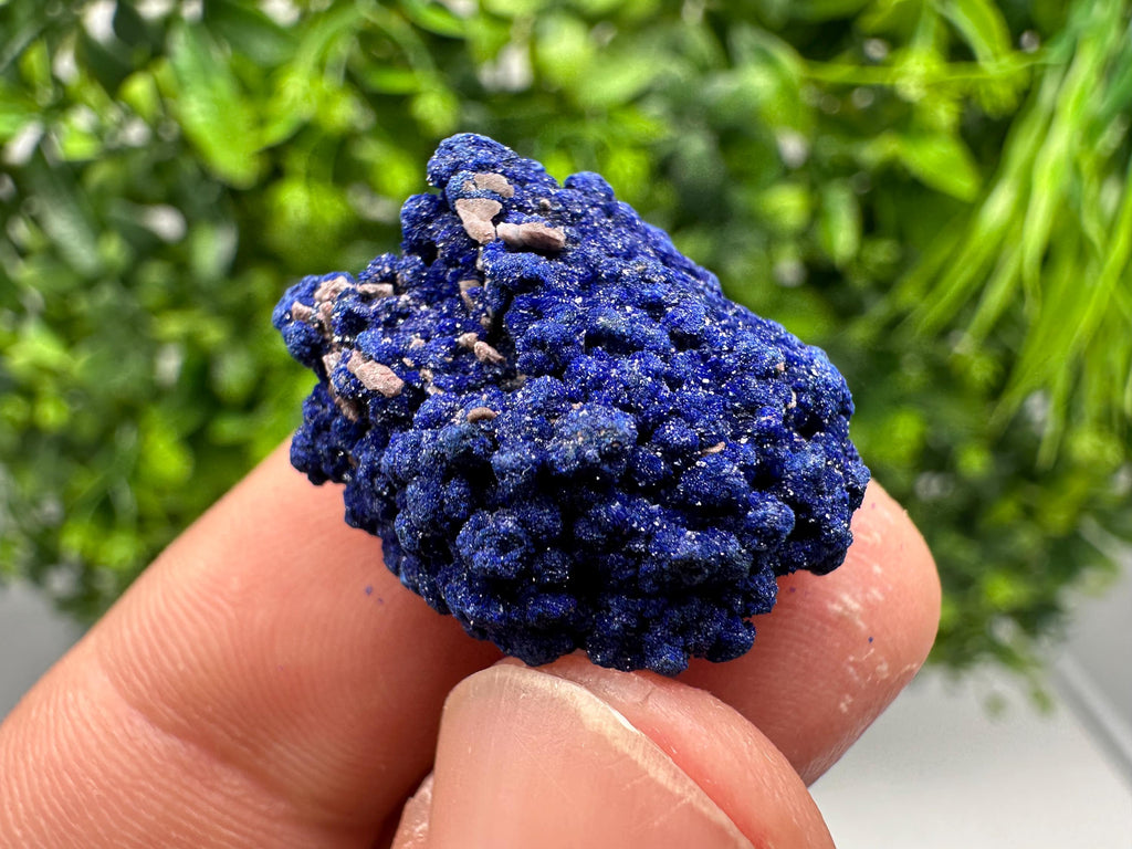 Crystallized Azurite-Kerrouchen,Morocco-Blue Azurite Specimen-High Quality Blue Azurite-Azurite Mineral Specimen, gemmy,lustrous of Azurite