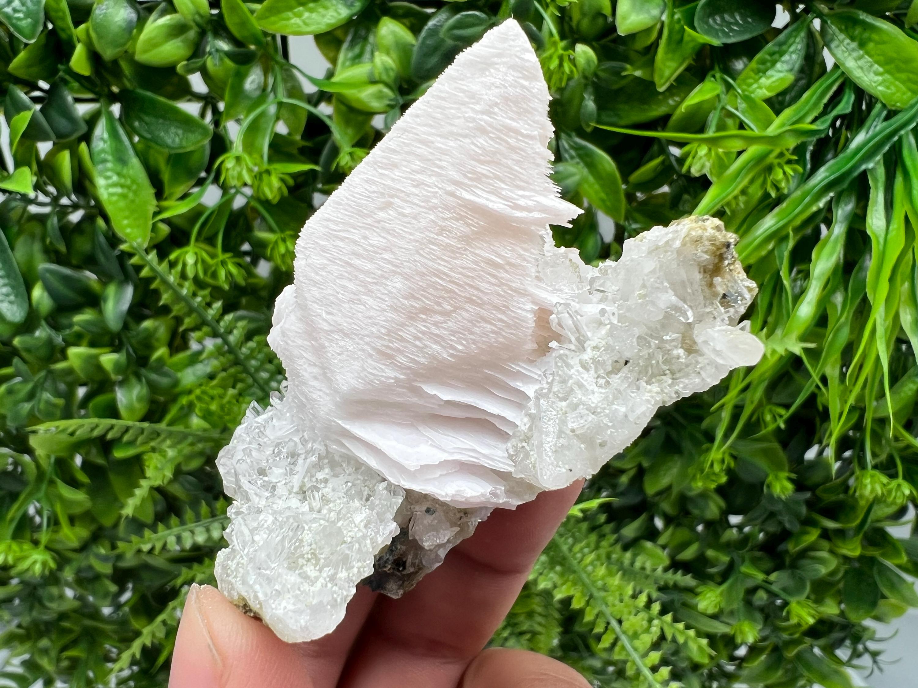 Incredible UV Mangano Calcite on Quartz from Borieva mine,Madan,Bulgaria,natural,collectible mineral specimen,home decor stone,crystal,gift
