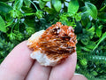 Red Vanadinite on Barite from Marocco,crystal minerals Speciment cluster Vanadinite crystal Vanadinite Geology Vanadinite cluster minerals