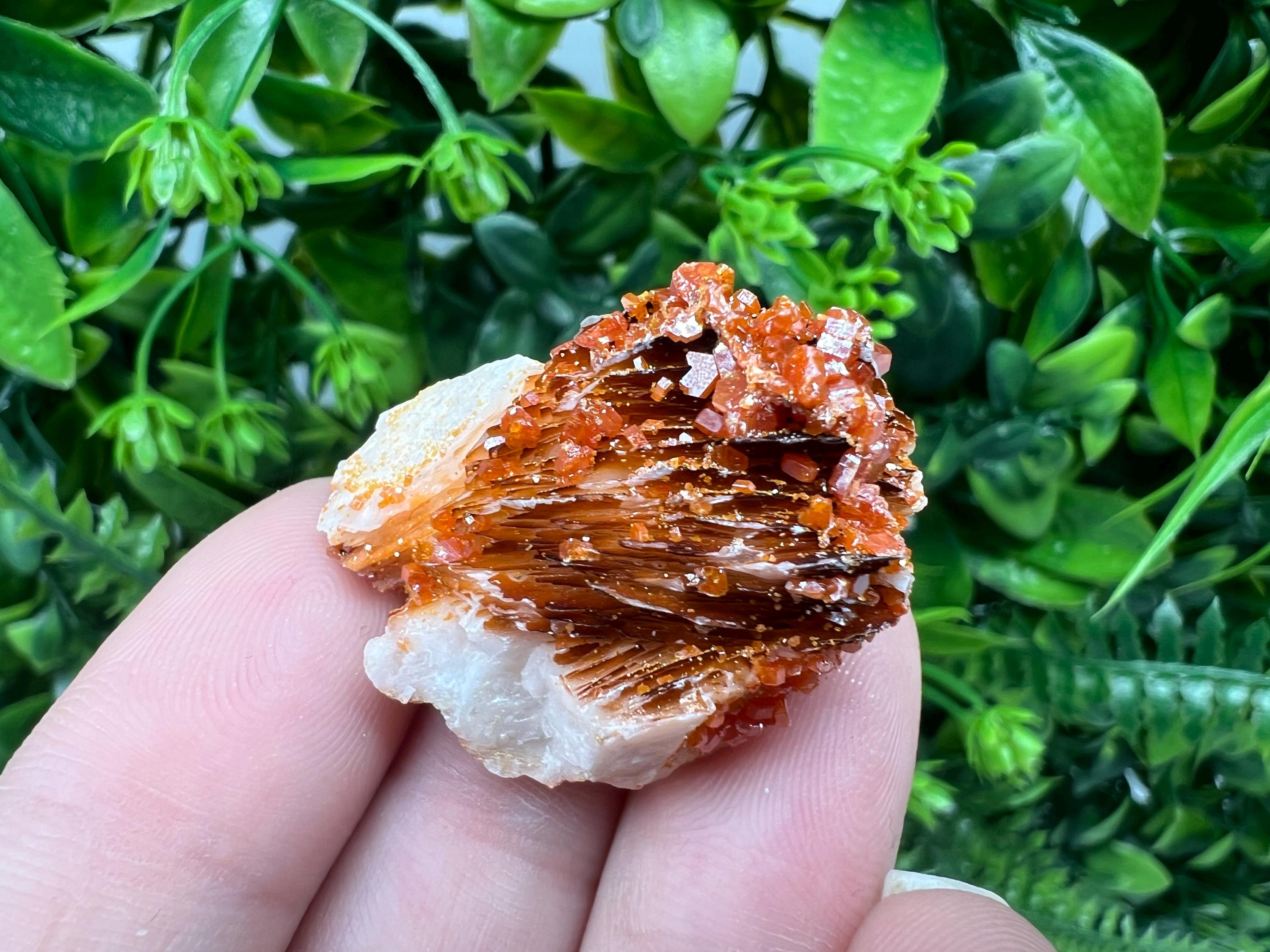 Red Vanadinite on Barite from Marocco,crystal minerals Speciment cluster Vanadinite crystal Vanadinite Geology Vanadinite cluster minerals