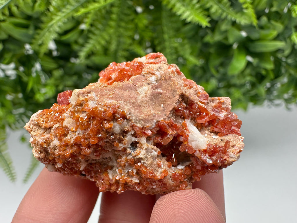 Red Vanadinite on Matrix from Marocco,crystal minerals Speciment cluster Vanadinite crystal Vanadinite Geology Vanadinite cluster minerals