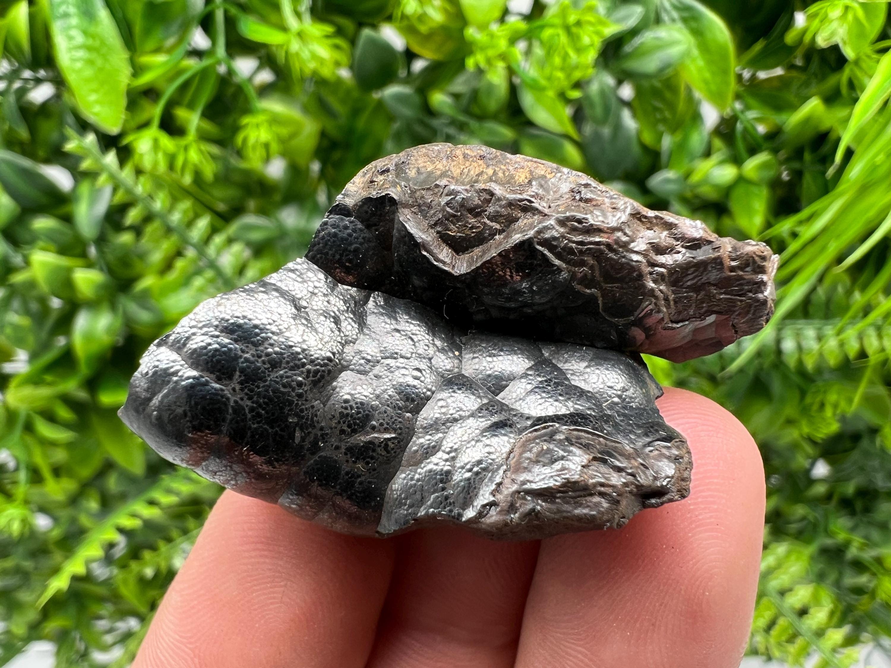 Moroccan Botryoidal Black Hematite Specimen: Chakra Reiki Crystal