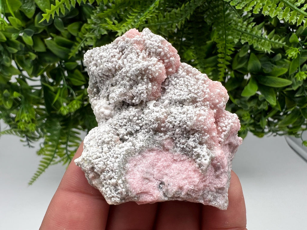 RARE Rhodochrosite with White Calcite, Starnica Mine, Bulgaria