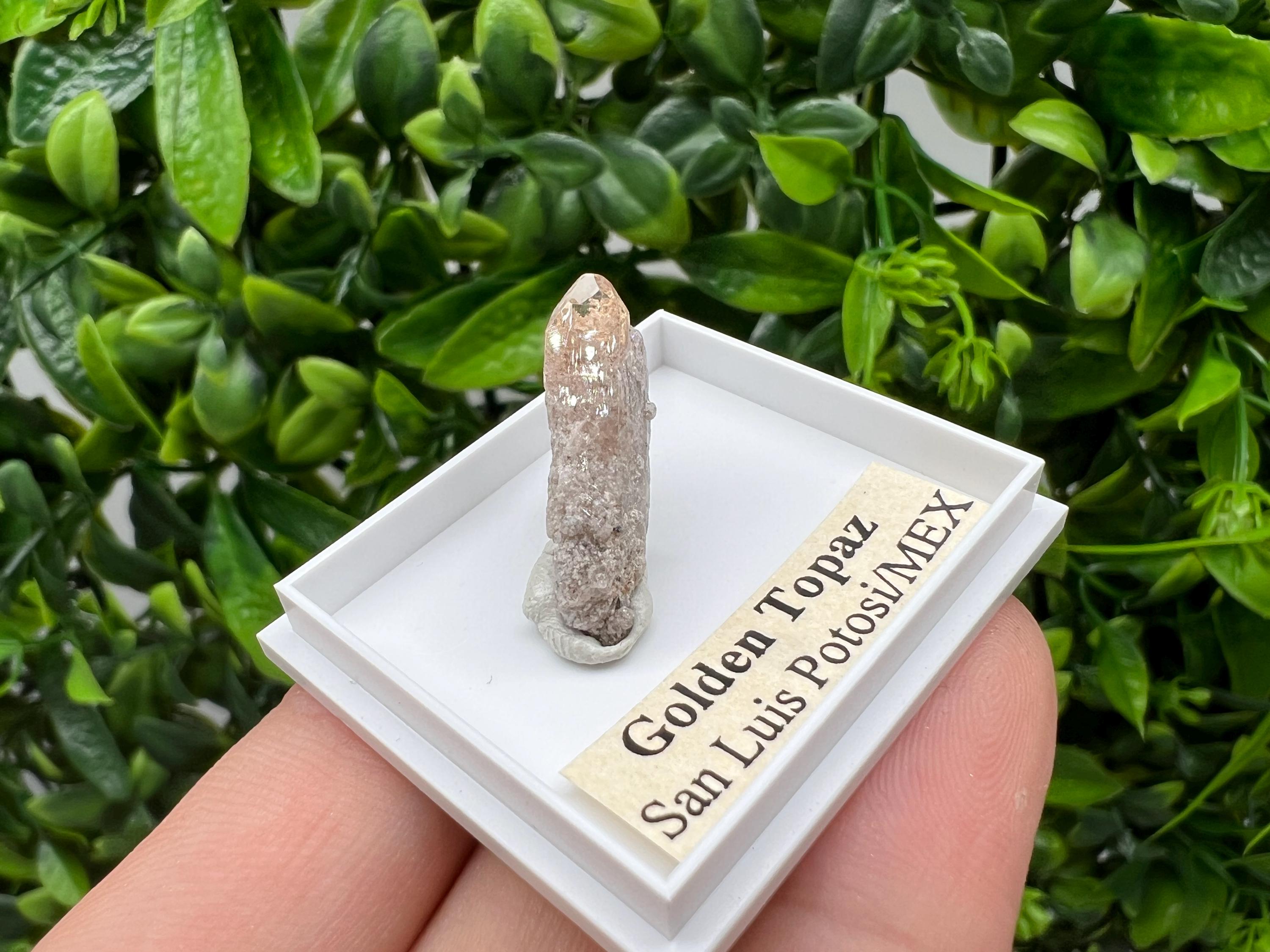 Beautiful Golden Topaz from Mexico,collection piece Crystal,Mineral,collectibles,Collectors, Natural Crystal, Minerals from Mexico,original,