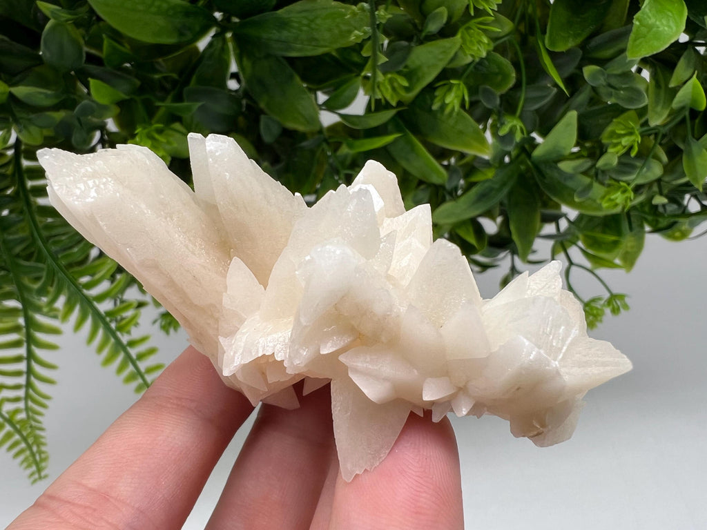 Calcite on Green Quartz: Djurcovo Mine, Bulgaria Healing Crystal