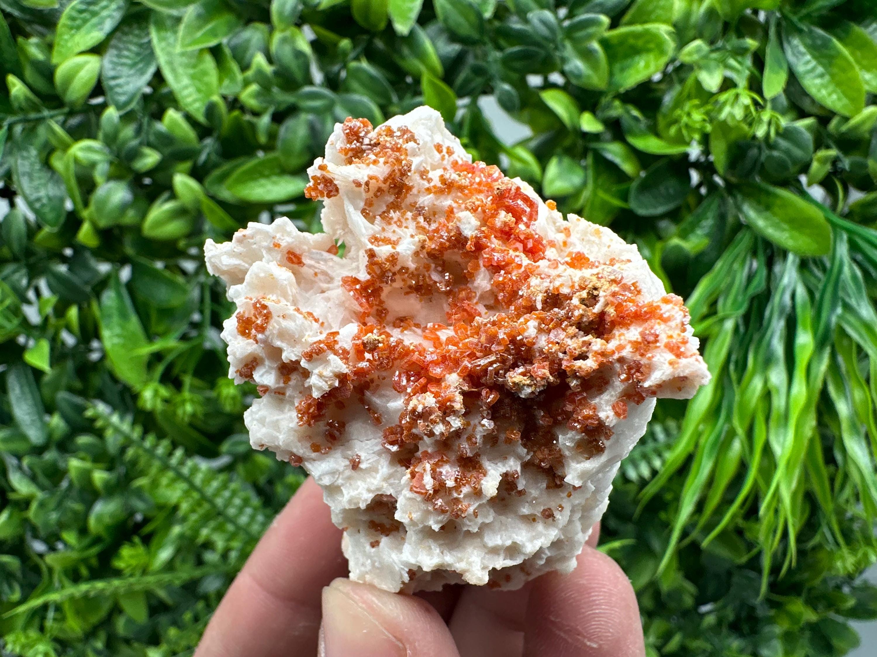 Red Vanadinite Crystal on Barite Matrix, Morocco Mineral Specimen