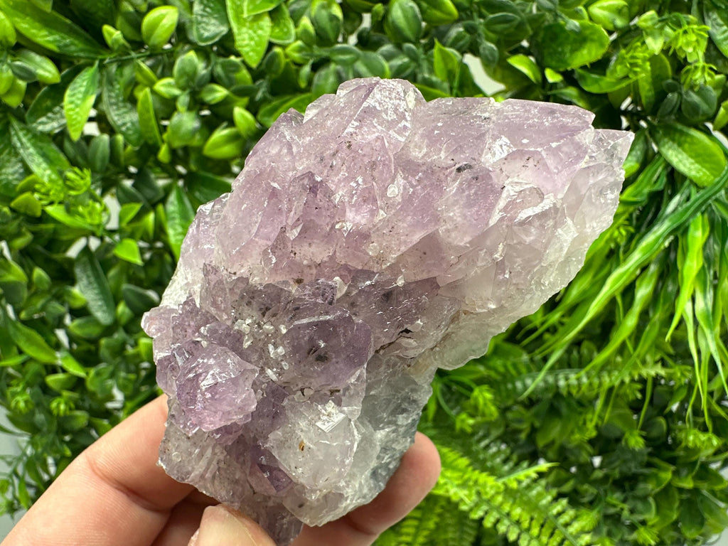 Brazilian Amethyst Cluster, Purple Quartz Crystal Specimen