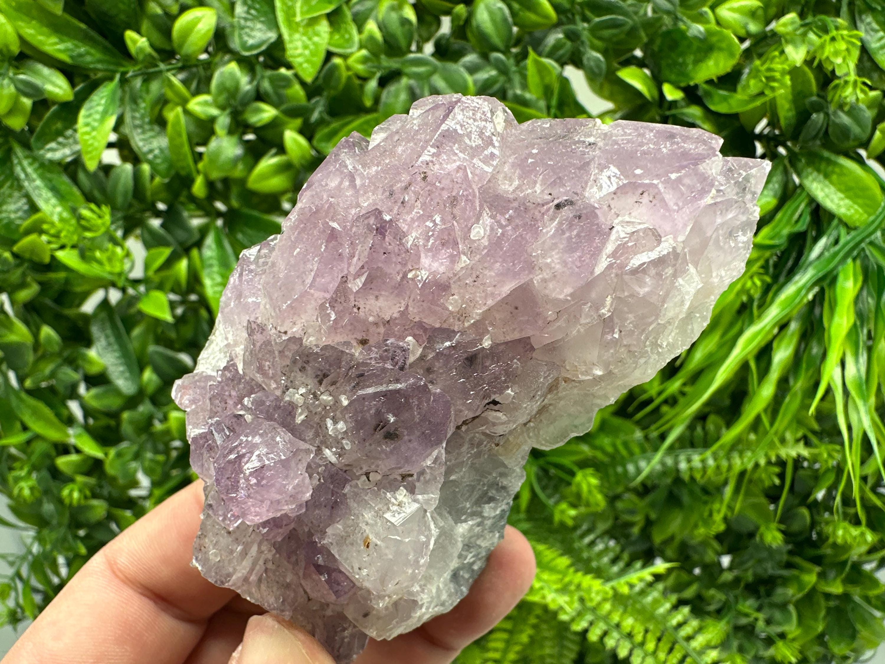 Brazilian Amethyst Cluster, Purple Quartz Crystal Specimen