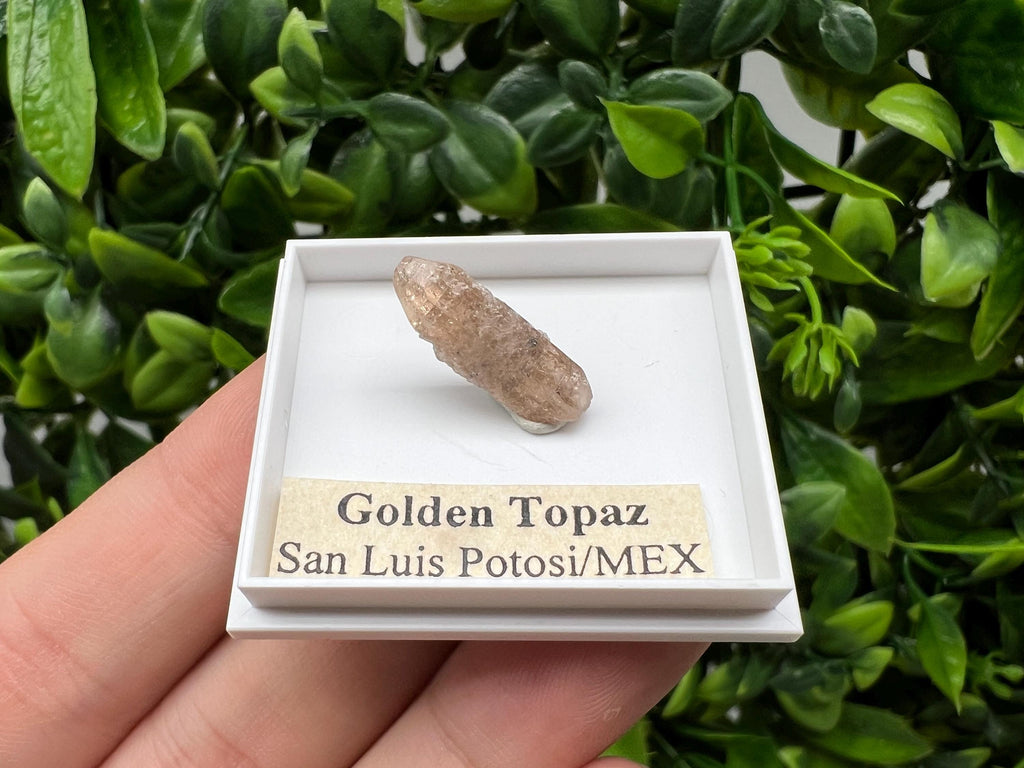 Mexican Golden Topaz Crystal, Mineral Collection Piece, Original