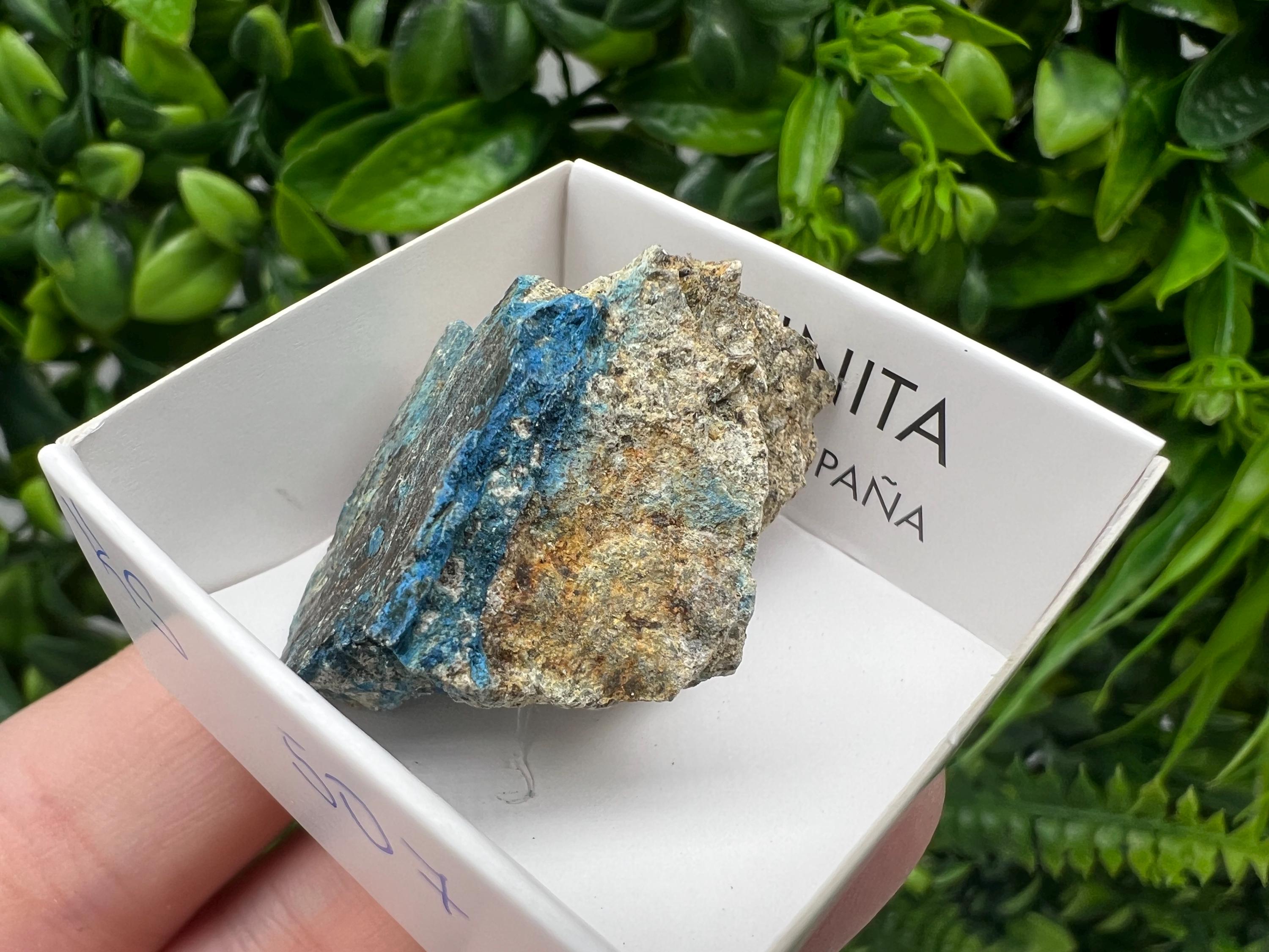 Rare Raw Aerinite Mineral Specimen: Lleida, Spain Collection Crystal