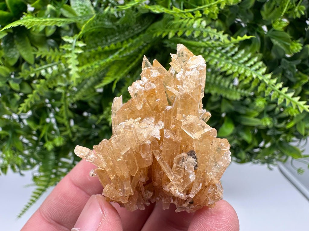 Brown Gypsum Selenite Crystal, Rudna Mine Poland, Mineral Specimen
