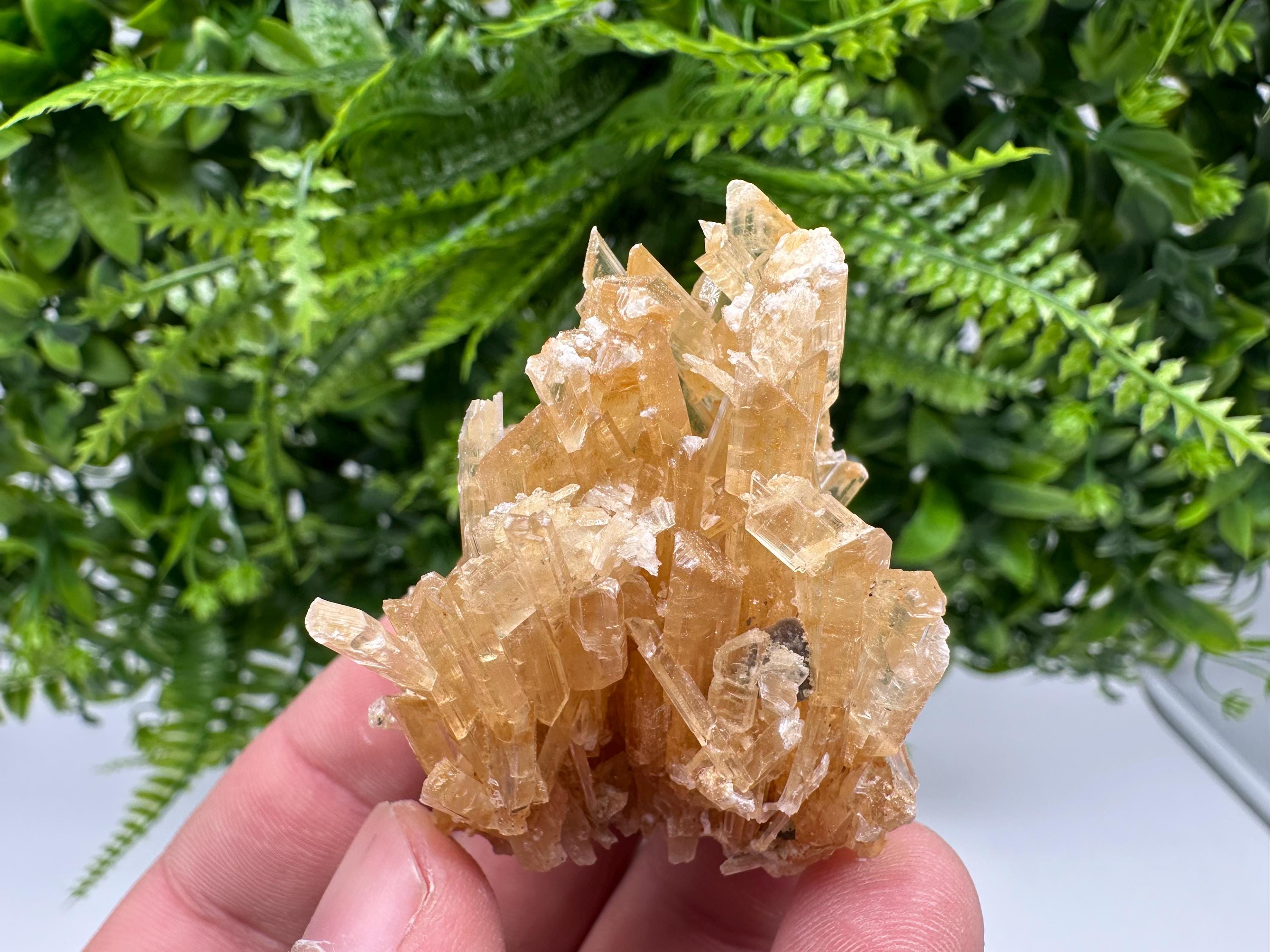 Brown Gypsum Selenite Crystal, Rudna Mine Poland, Mineral Specimen
