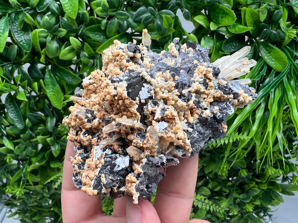 Galena Spinel Law on Quartz with Siderite, Krushev Dol Mine, Bulgaria