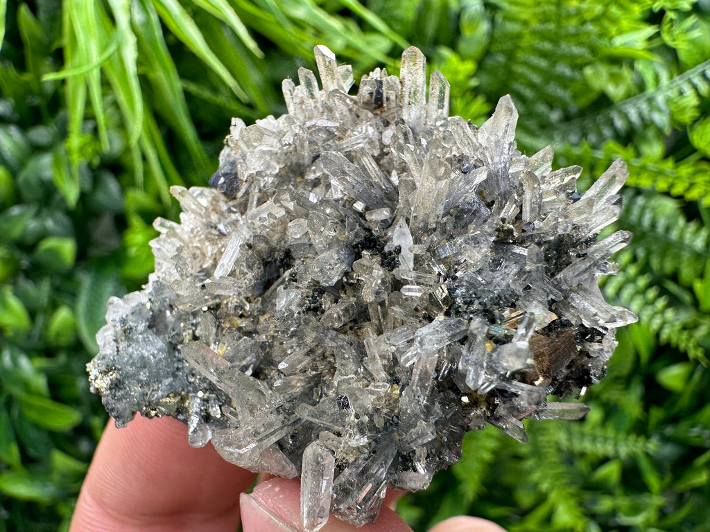 Pyrite Galena on Green Quartz, Chlorite Mineral Specimen, Bulgaria