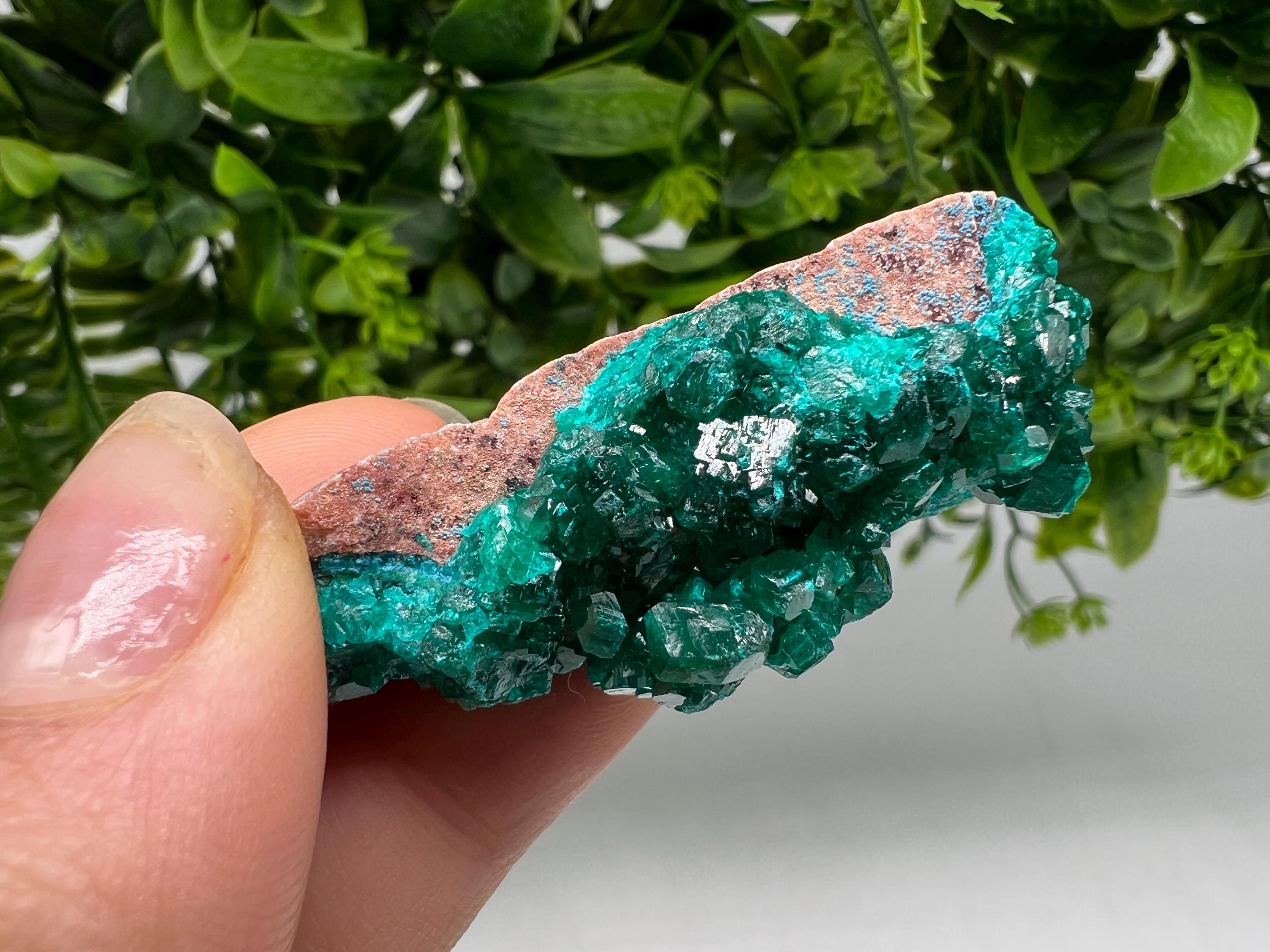 Green Dioptase Crystal Cluster: Sanda Hills, Congo