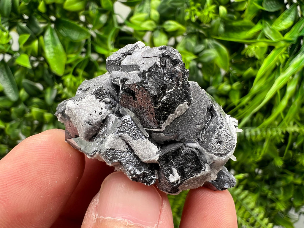 Natural Chalcopyrite with Galena Mineral Specimen, Bulgaria
