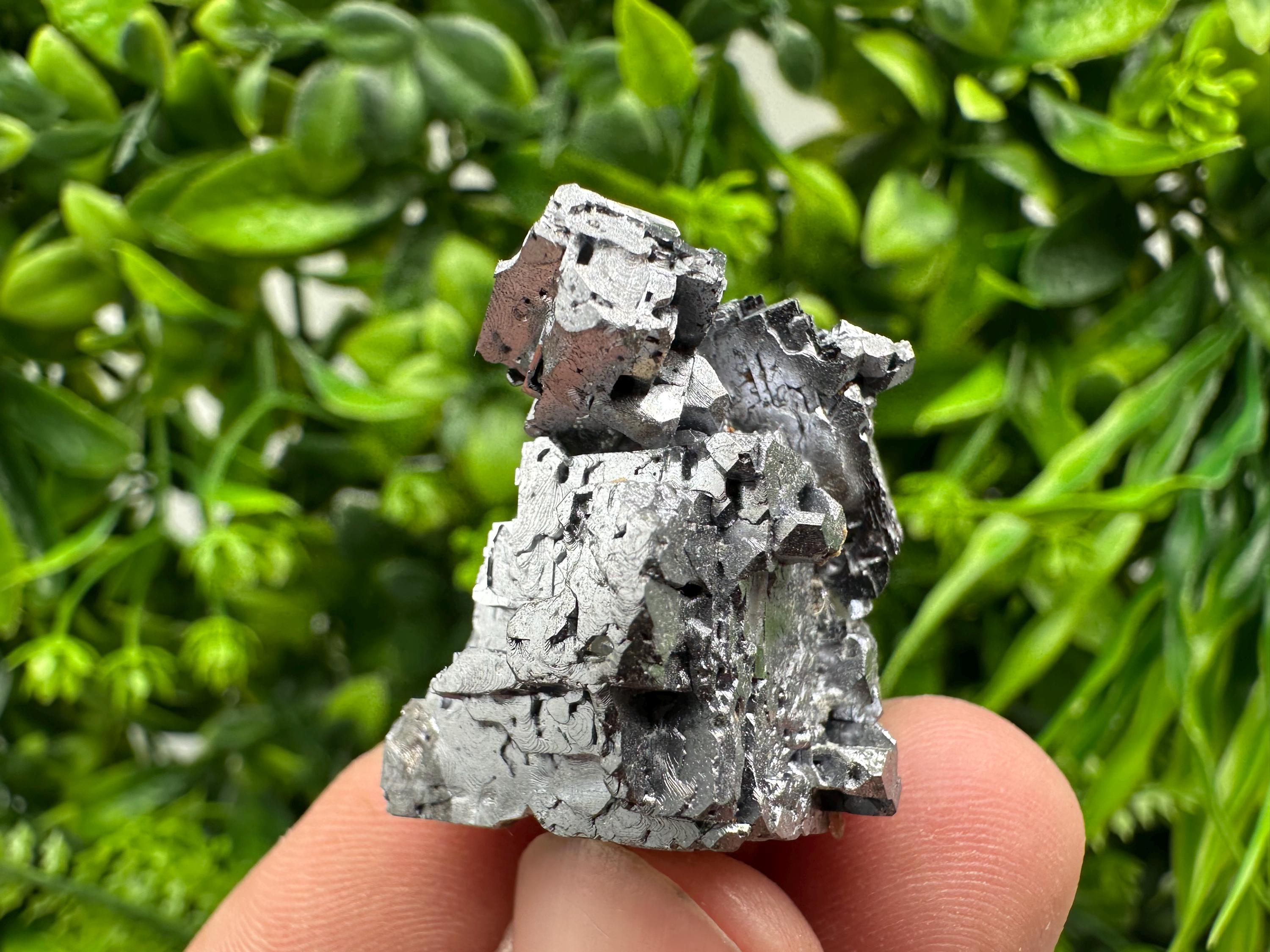 Skeletal Galena on Sphalerite Crystal Mineral Specimen