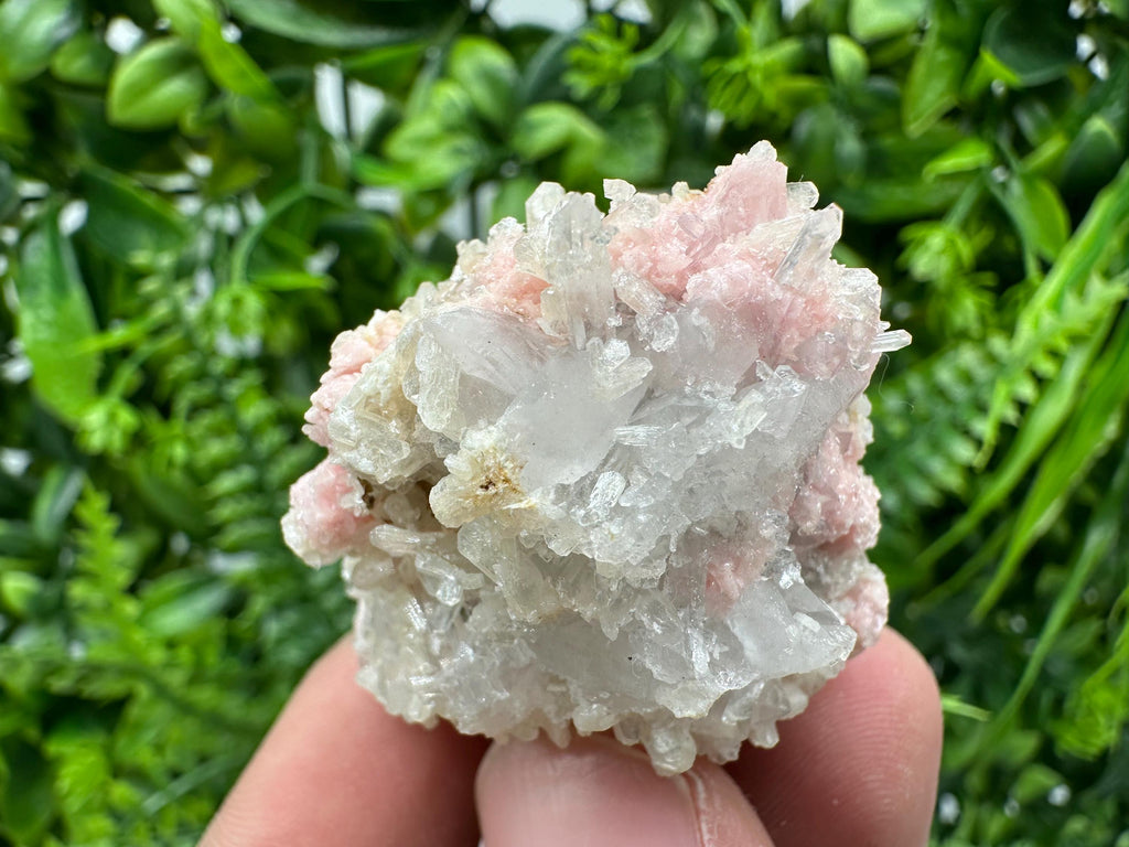 Pink Rhodochrosite Crystal: Starnica Mine, Bulgaria
