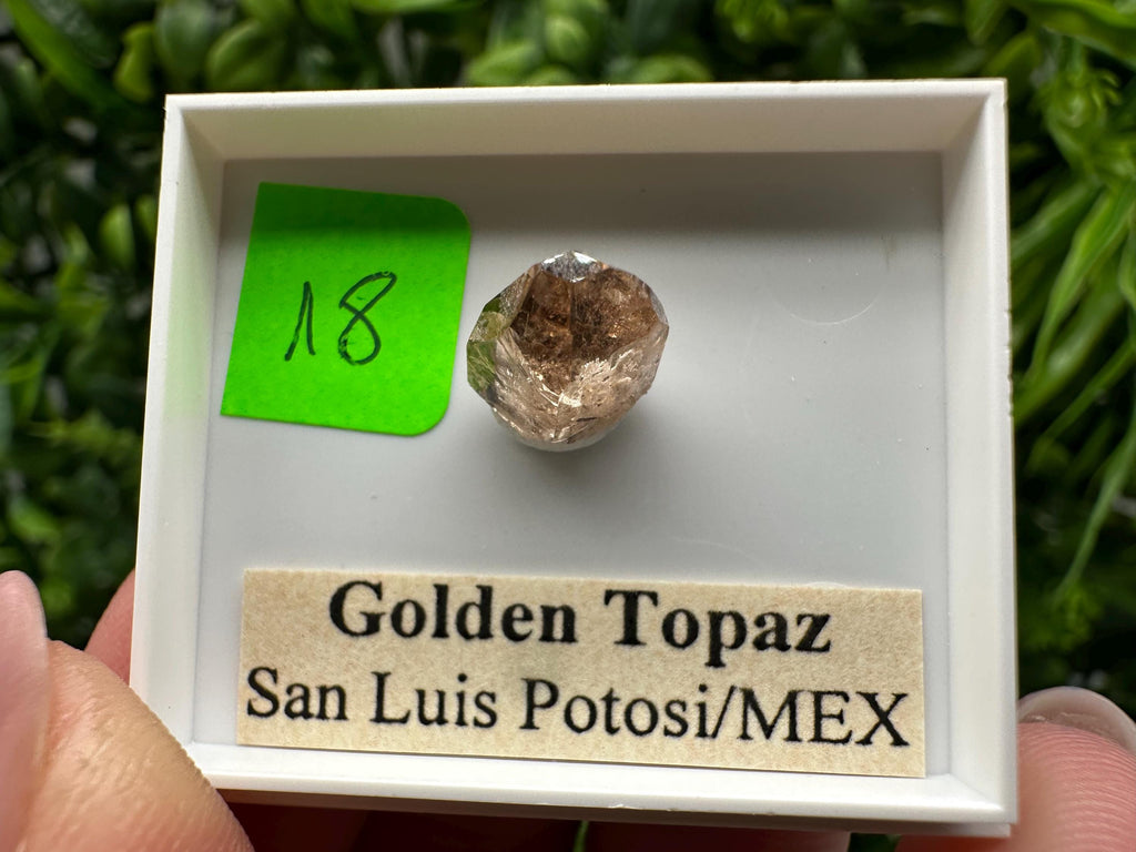 Golden Topaz Crystal, Mineral Specimen from Mexico