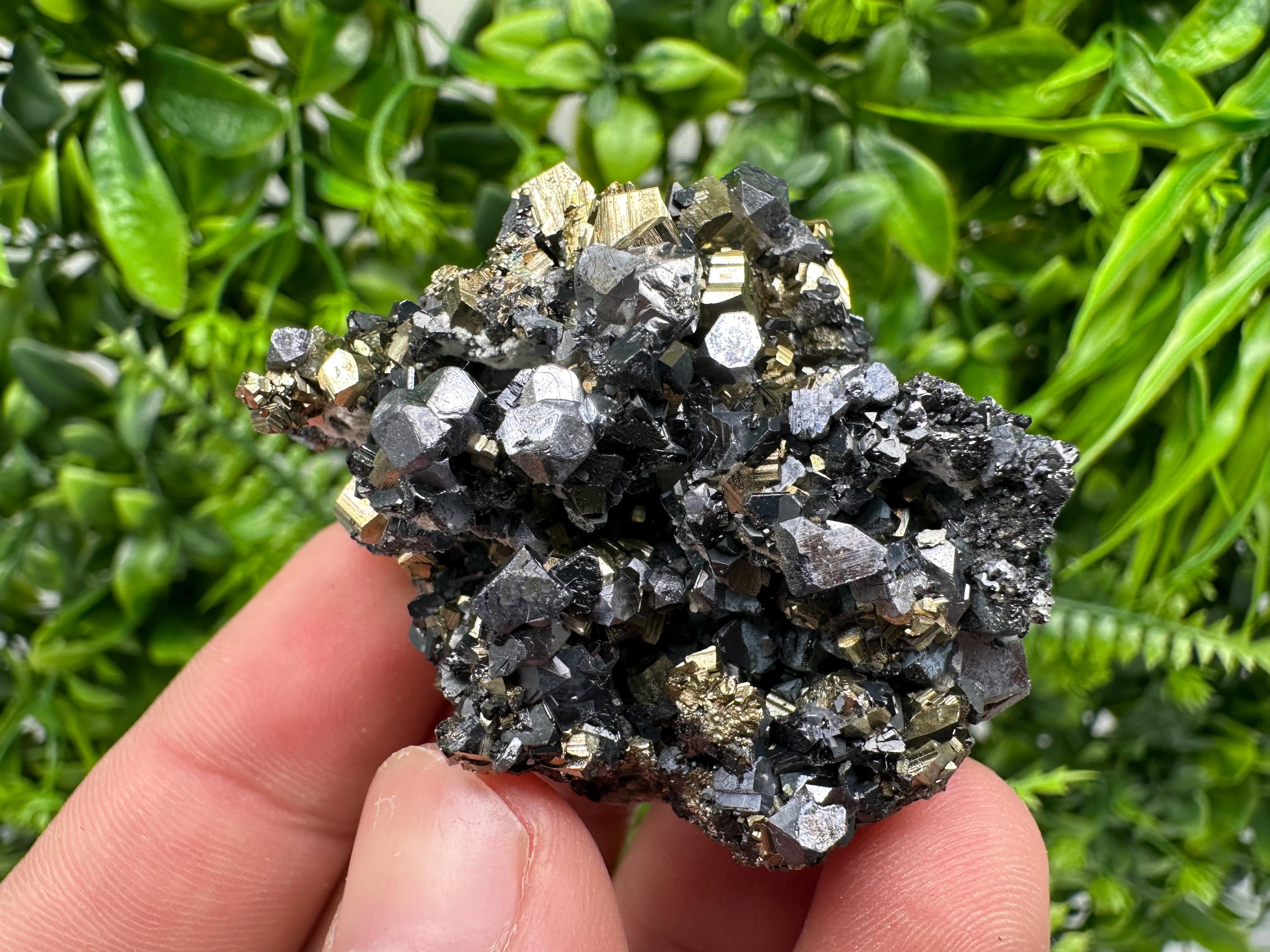 Galena on Pyrite Mineral Specimen, Borieva Mine, Bulgaria