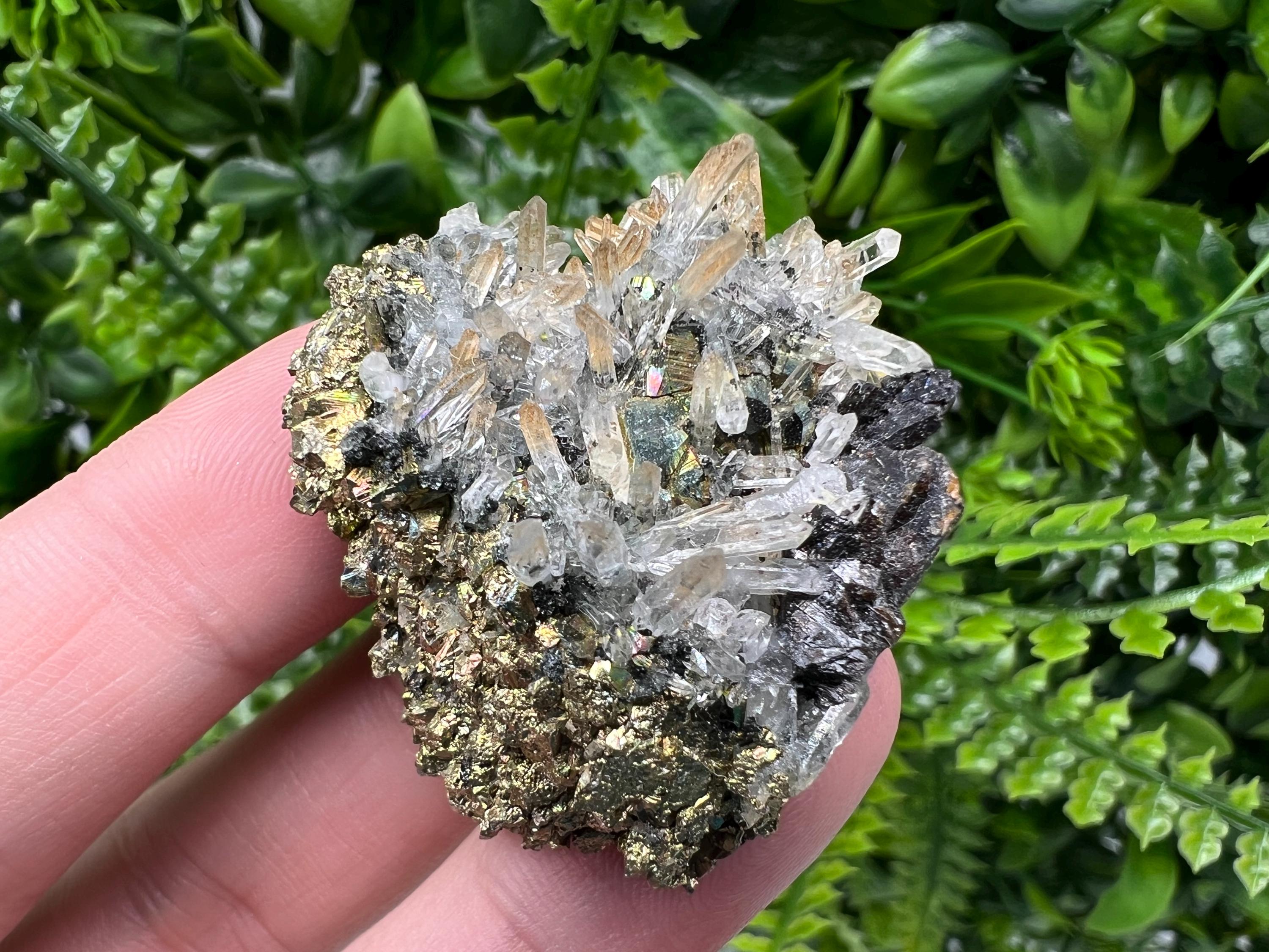 Rainbow Pyrite with Sphalerite on Quartz: Natural Crystal Decor