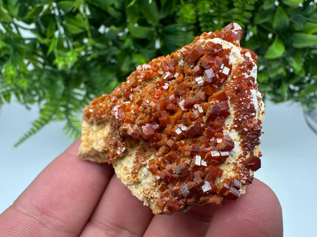 Red Vanadinite on Barite, Moroccan Crystal Mineral Specimen
