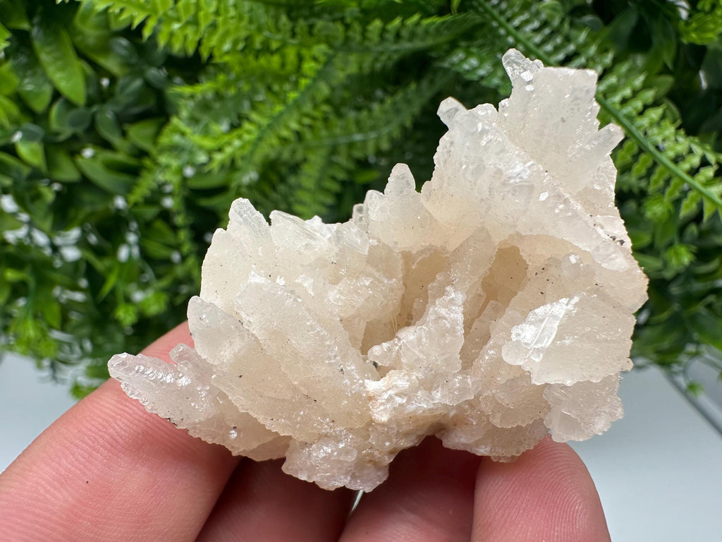 Calcite on Green Quartz: Djurcovo Mine, Bulgaria Crystal