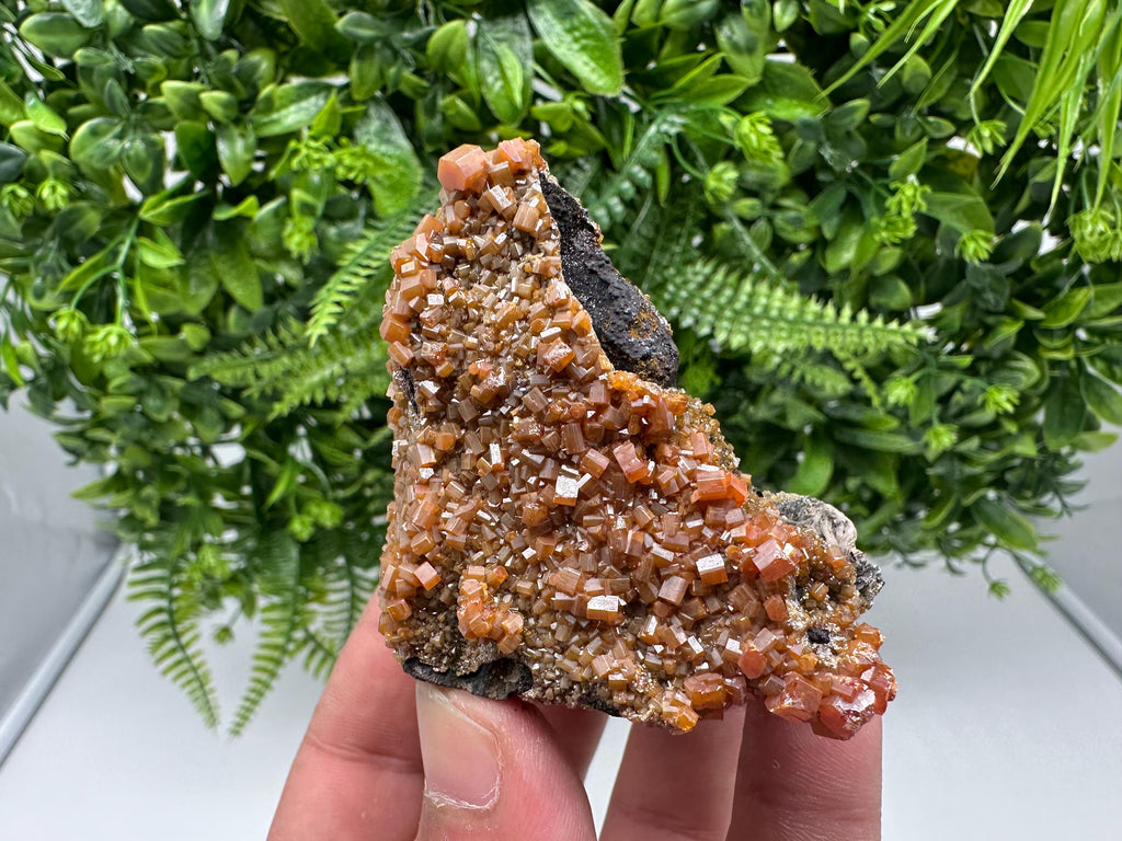 VERY Rare red Vanadinite on Barite whit Goethite from Marocco,crystal minerals Speciment cluster Vanadinite crystal Vanadinite Geology Vanad
