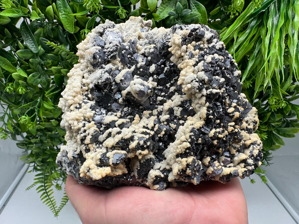 Galena Dolomite Cluster, Krushev dol Bulgaria Mineral Specimen