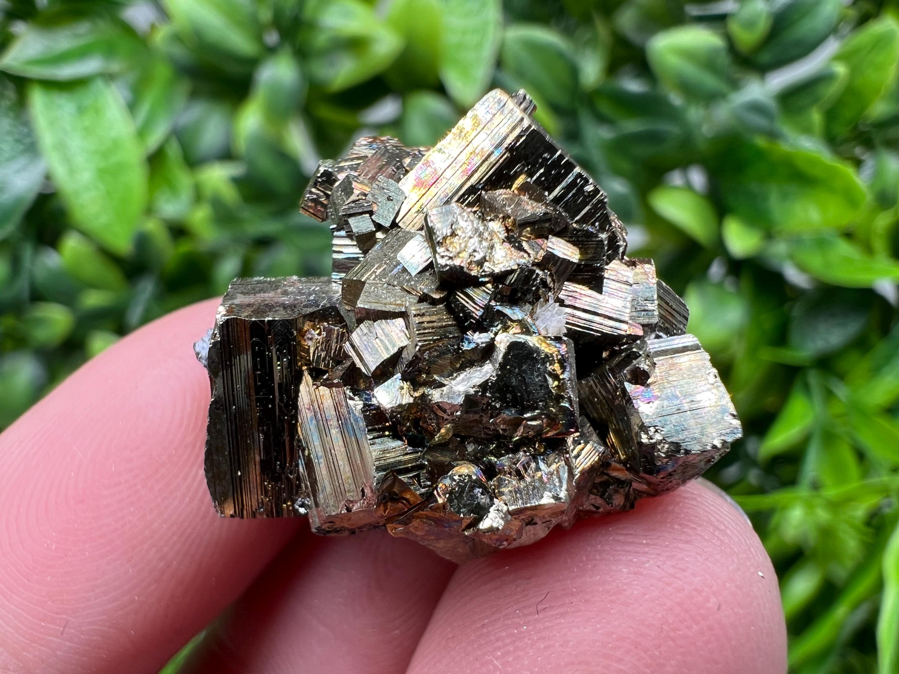 Rainbow Pyrite with Calcite, Borieva Bulgaria, Crystal Mineral Souvenir