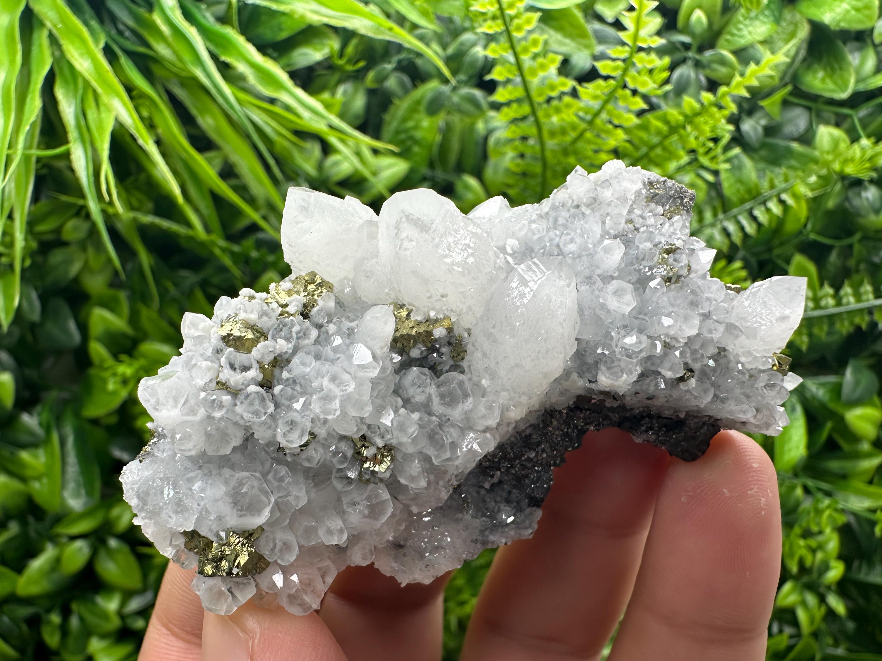 Chalcopyrite on Quartz Cluster, Krushev Dol Mine, Bulgaria, Mineral Specimen