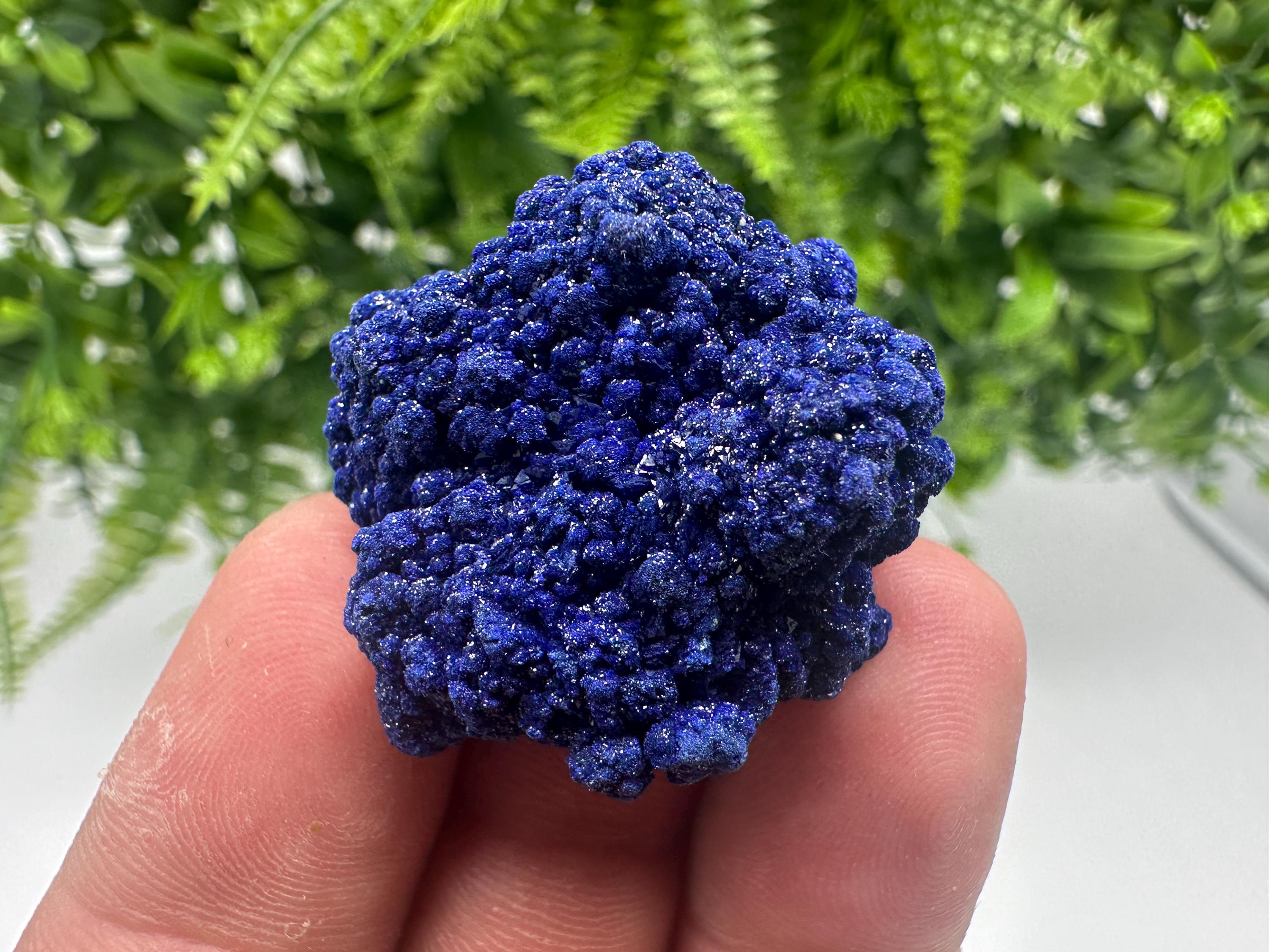 Crystallized Azurite-Kerrouchen,Morocco-Blue Azurite Specimen-High Quality Blue Azurite-Azurite Mineral Specimen, gemmy,lustrous of Azurite