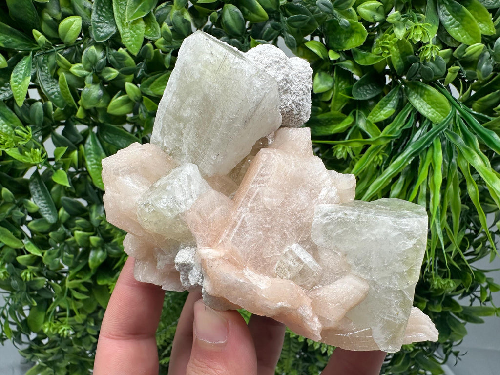 Apophyllite Stilbite on Chalcedony, India Crystal Mineral Specimen