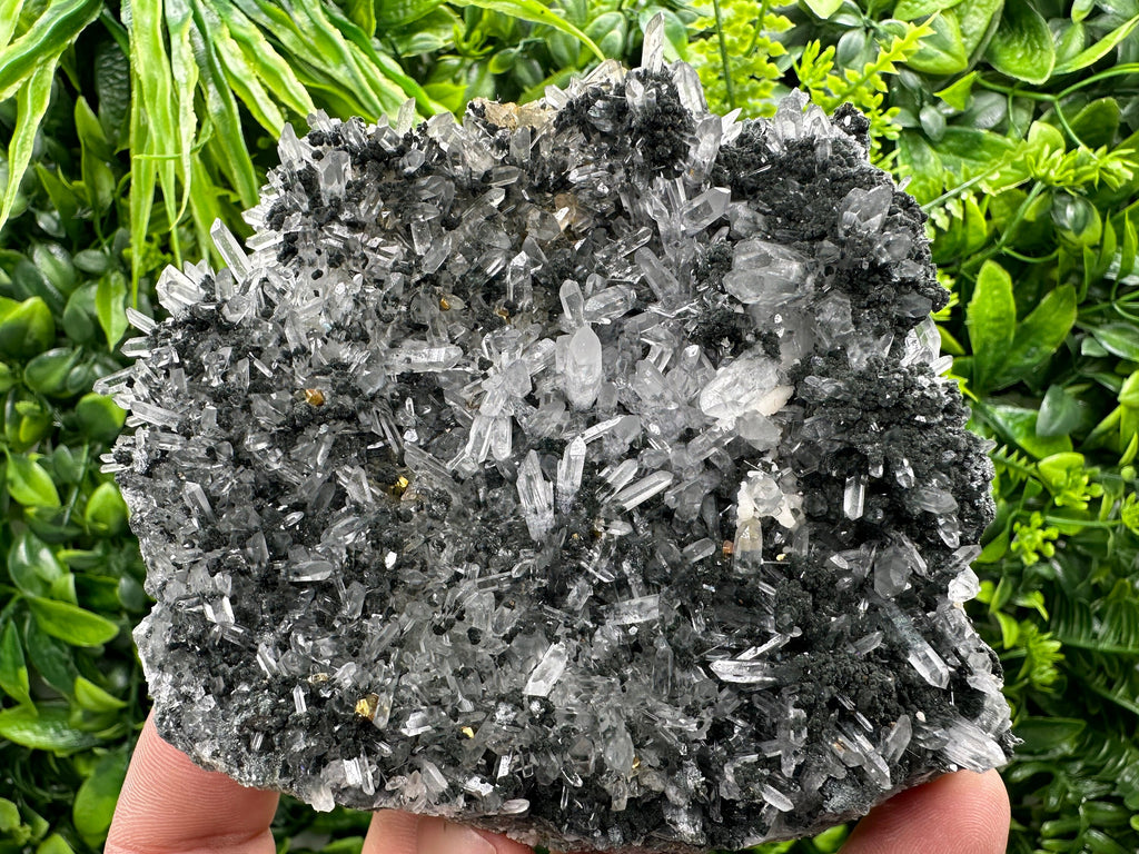 Pyrite on Quartz with Chlorite: Borieva Mine Crystal Decor