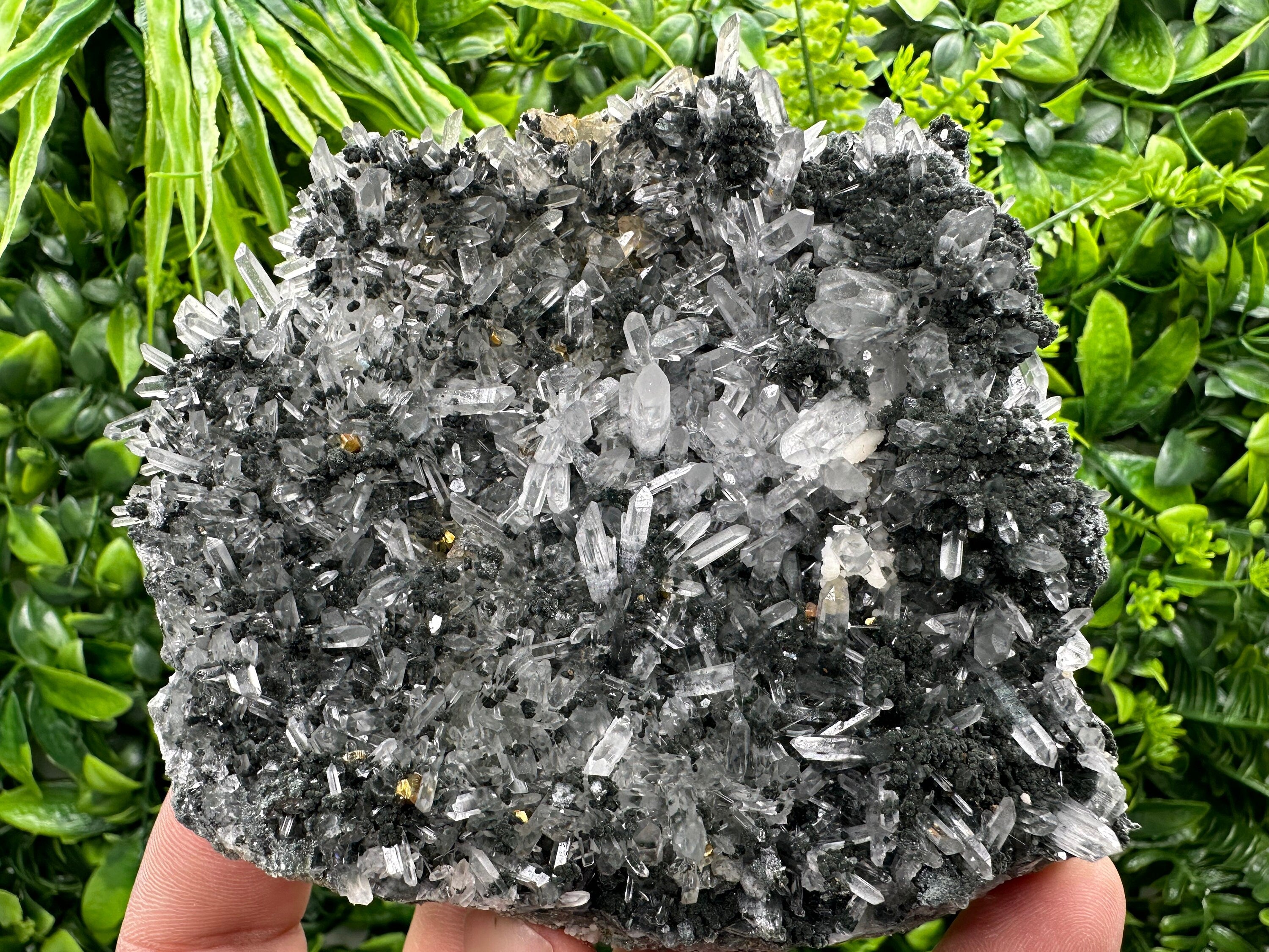 Pyrite on Quartz with Chlorite: Borieva Mine Crystal Decor