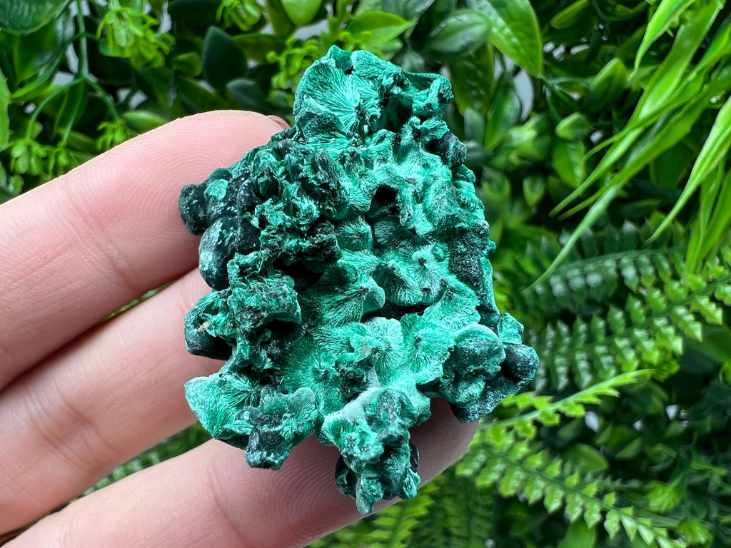 Malachite Crystal from Congo,Minerals,Crystals from Congo,Green Malachite, Malachite,Natural Malachite,Malachite Stone,Chakra, Specimens