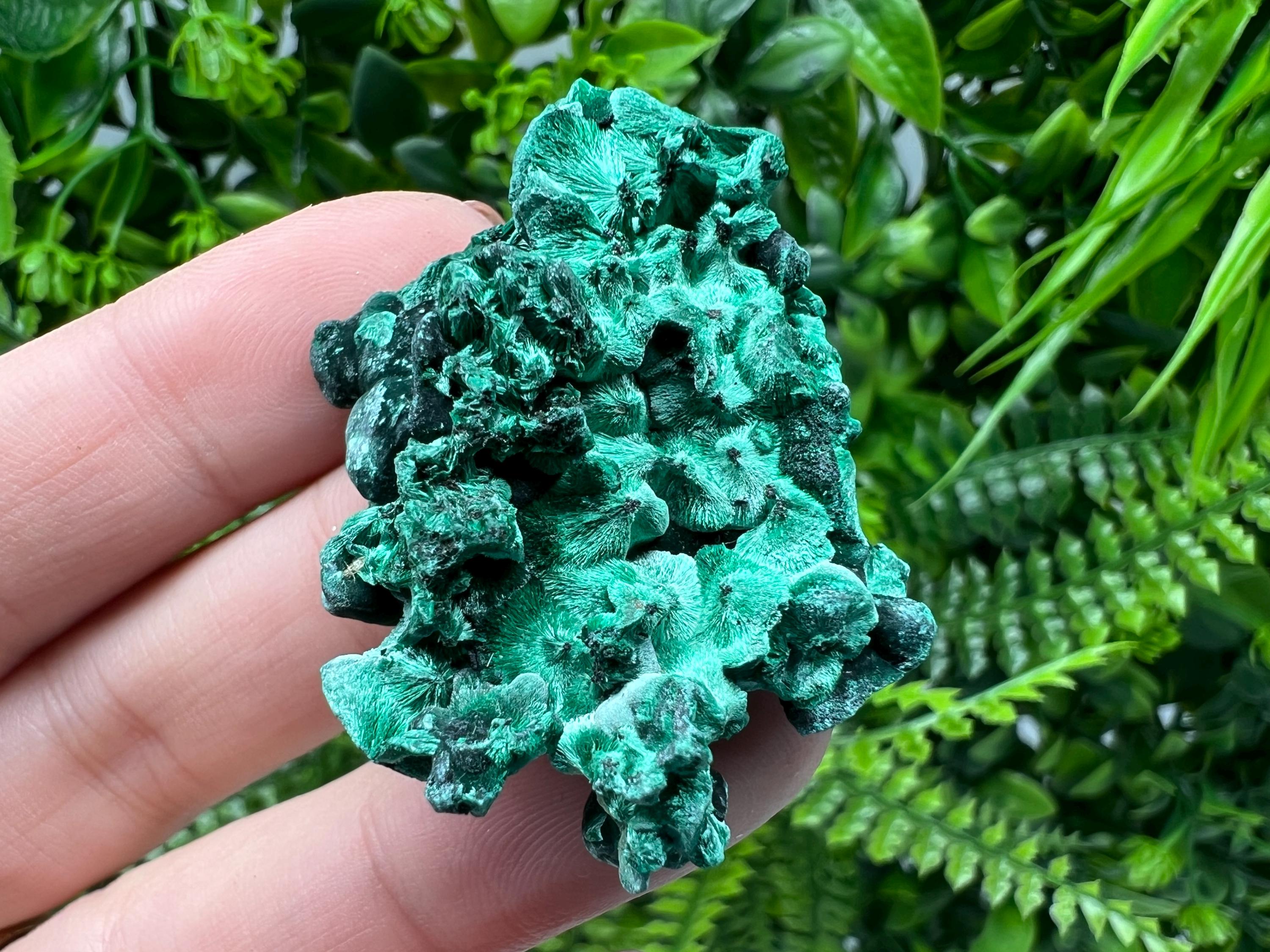 Malachite Crystal from Congo,Minerals,Crystals from Congo,Green Malachite, Malachite,Natural Malachite,Malachite Stone,Chakra, Specimens