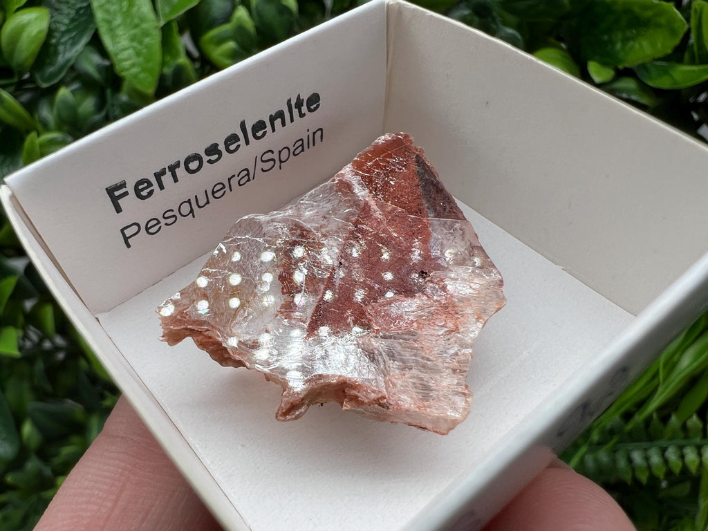 Stunning,rare Ferroselenite from La Pesquera, Cuenca,Castile-La Mancha,Spain,Mineral,Specimen,Ferroselenite Crystal,Ferroselenite Mineral