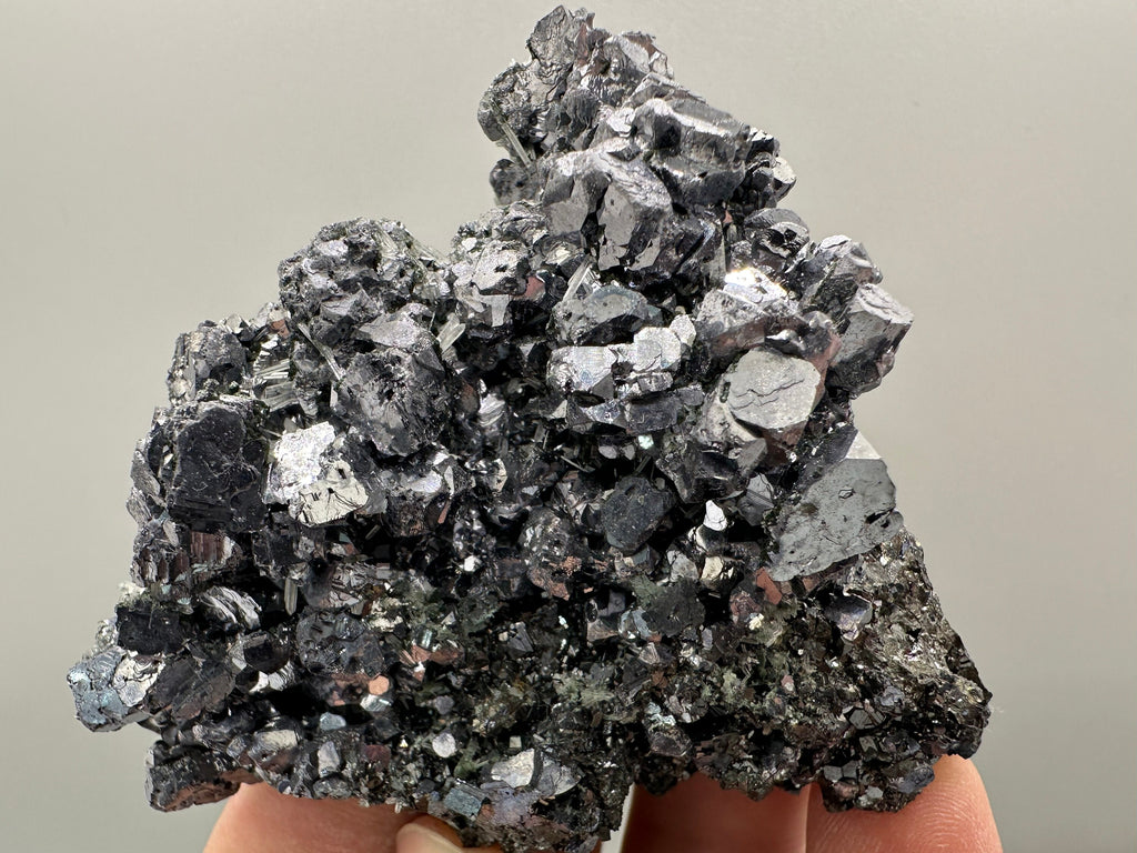 Shiny Galena on Sphalerite, Borieva Mine, Bulgaria