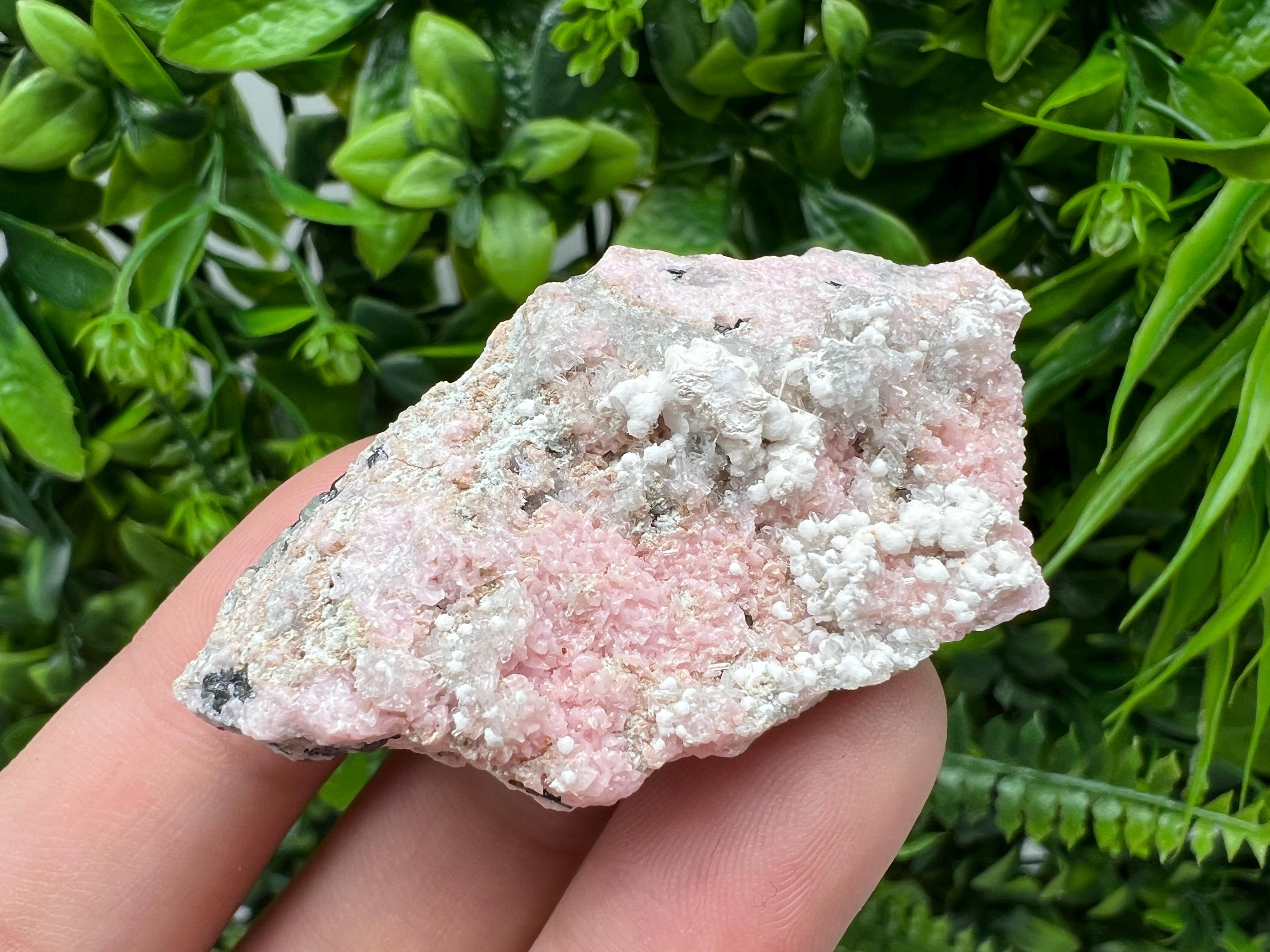 RARE Rhodochrosite with Calcite, Starnica Mine, Bulgaria