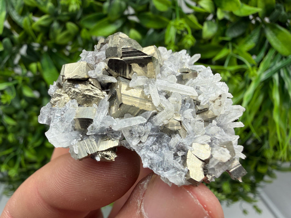 Pyrite Sphalerite Quartz  Mineral Specimen, Krushev dol Mine