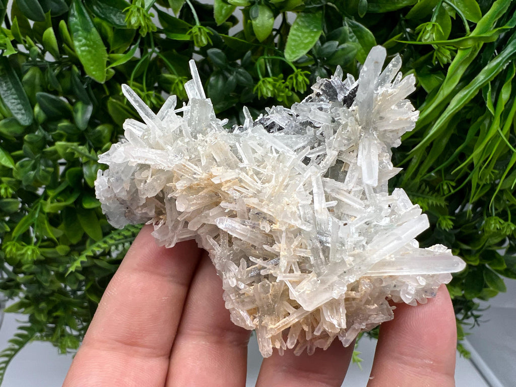 Quartz with Sphalerite Cluster, Krushev dol Bulgaria