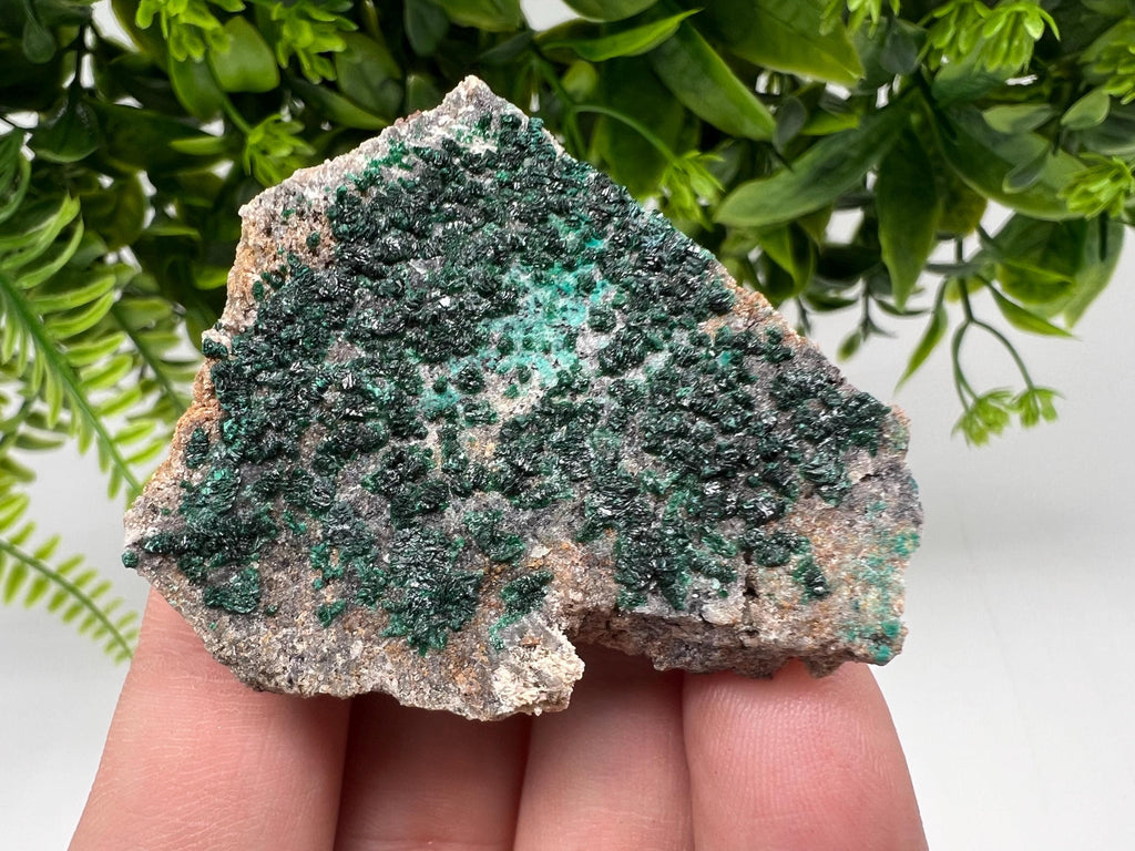 Malachite Crystal from Congo,Minerals,Crystals from Congo,Green Malachite, Malachite,Natural Malachite,Malachite Stone,Chakra, Specimens