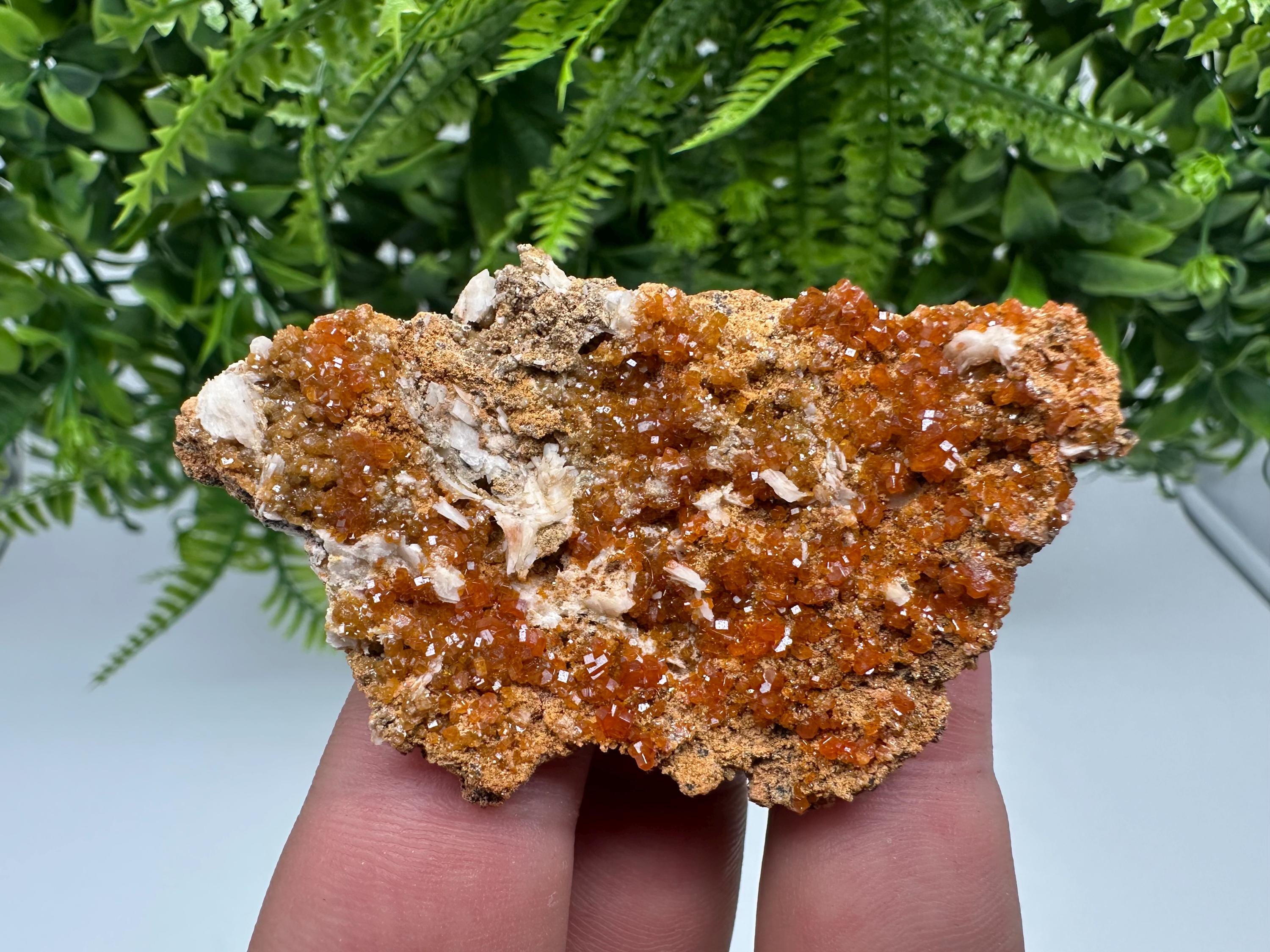 Red Vanadinite on Barite, Morocco Crystal Mineral Specimen