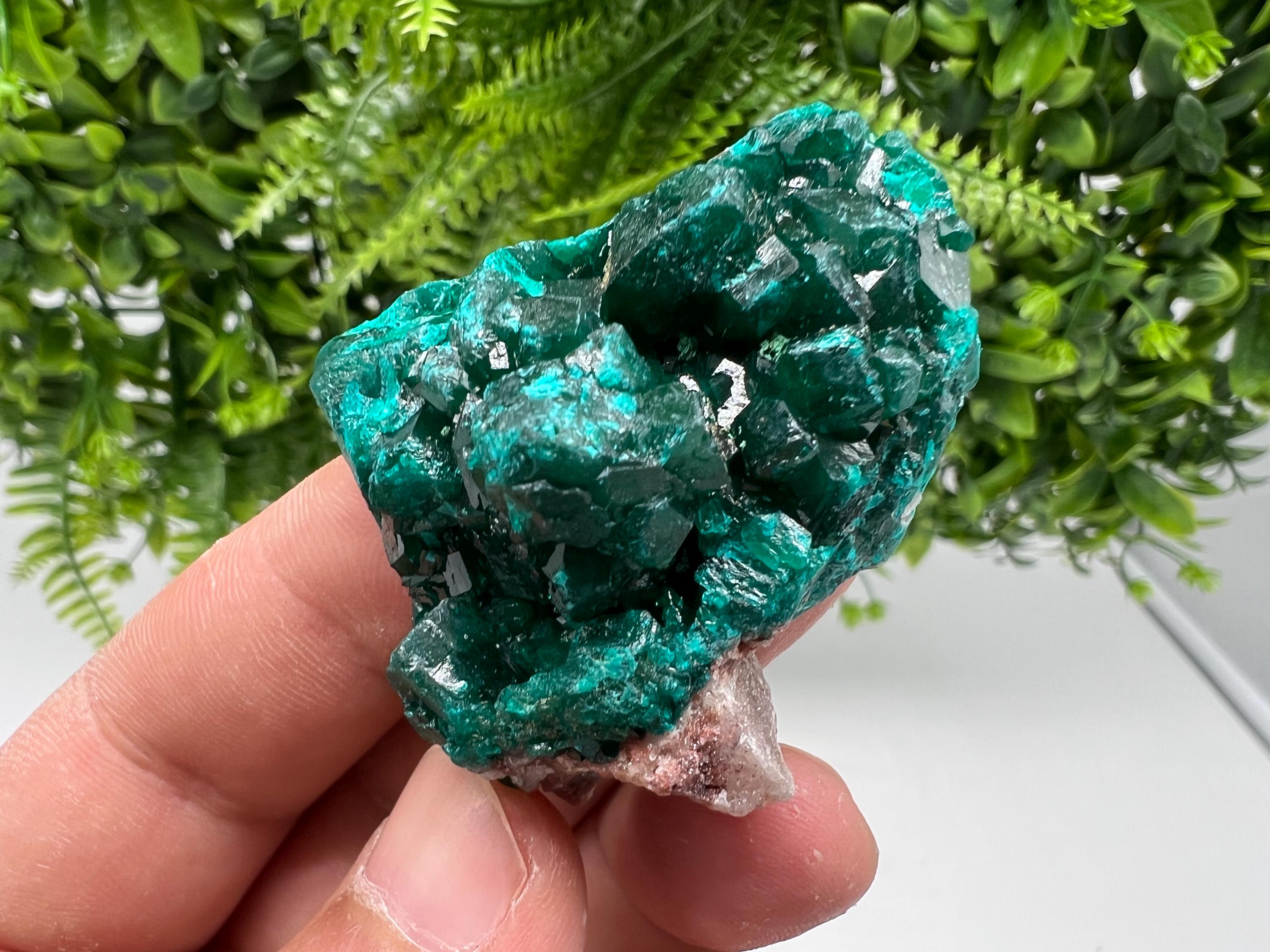Stunning Green Dioptase from Sanda Hills,Mindouli,Pool Department,Mindouli District,Congo,green Dioptase,Dioptas Crystal,Dioptase collecting
