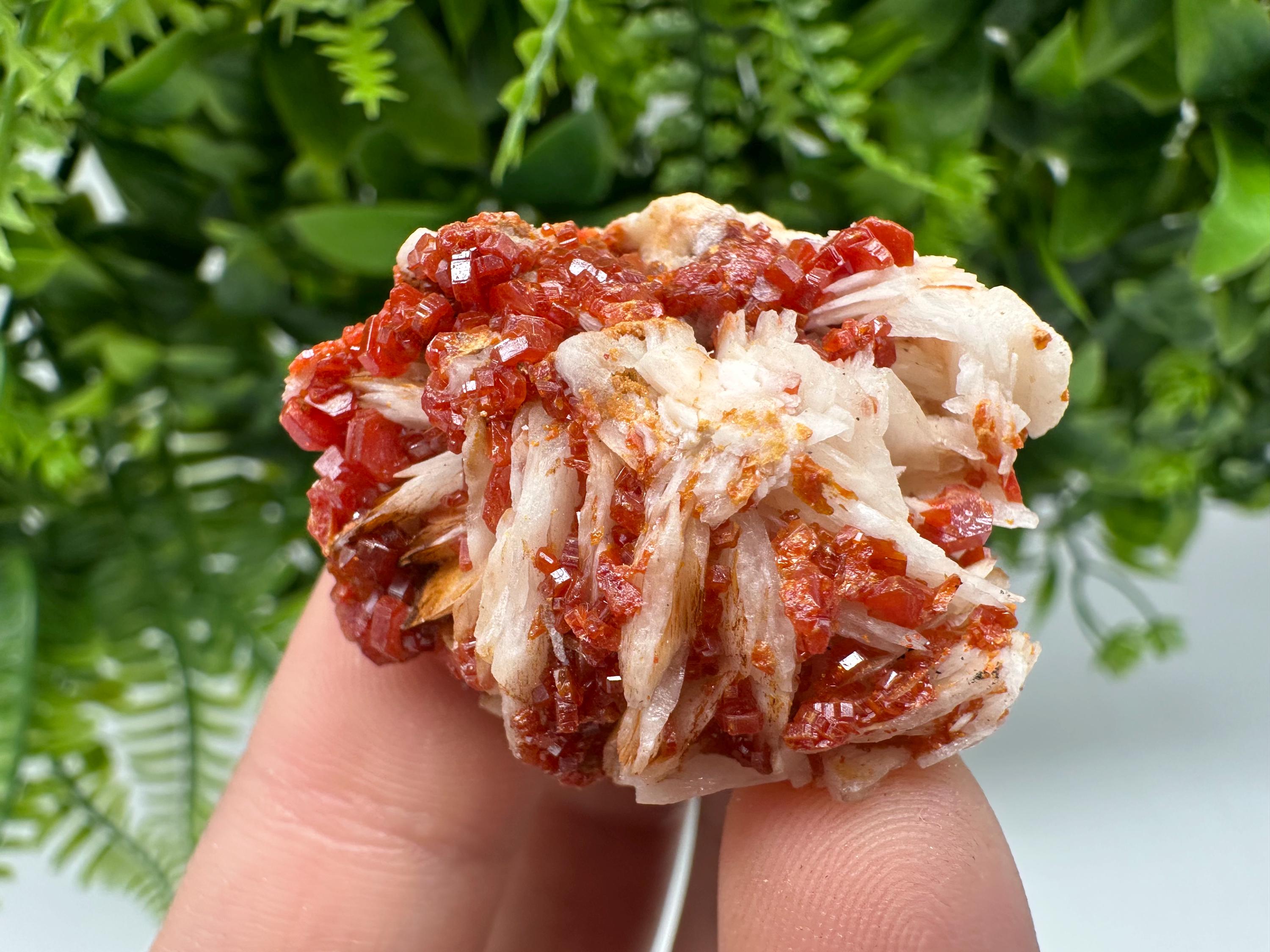 Red Vanadinite on Barite from Marocco,crystal minerals Speciment cluster Vanadinite crystal Vanadinite Geology Vanadinite cluster minerals